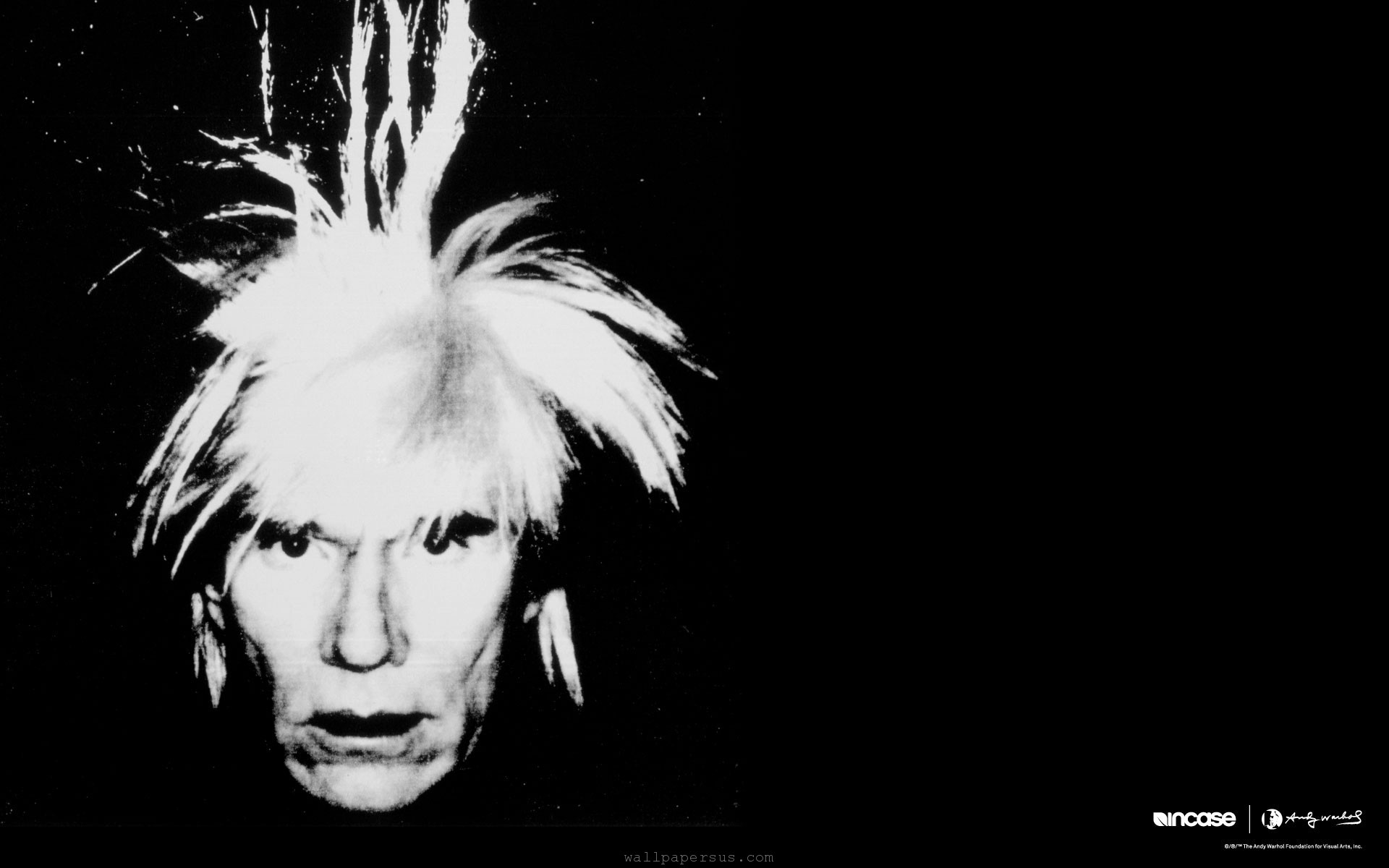 Andy Warhol Wallpaper 19x10