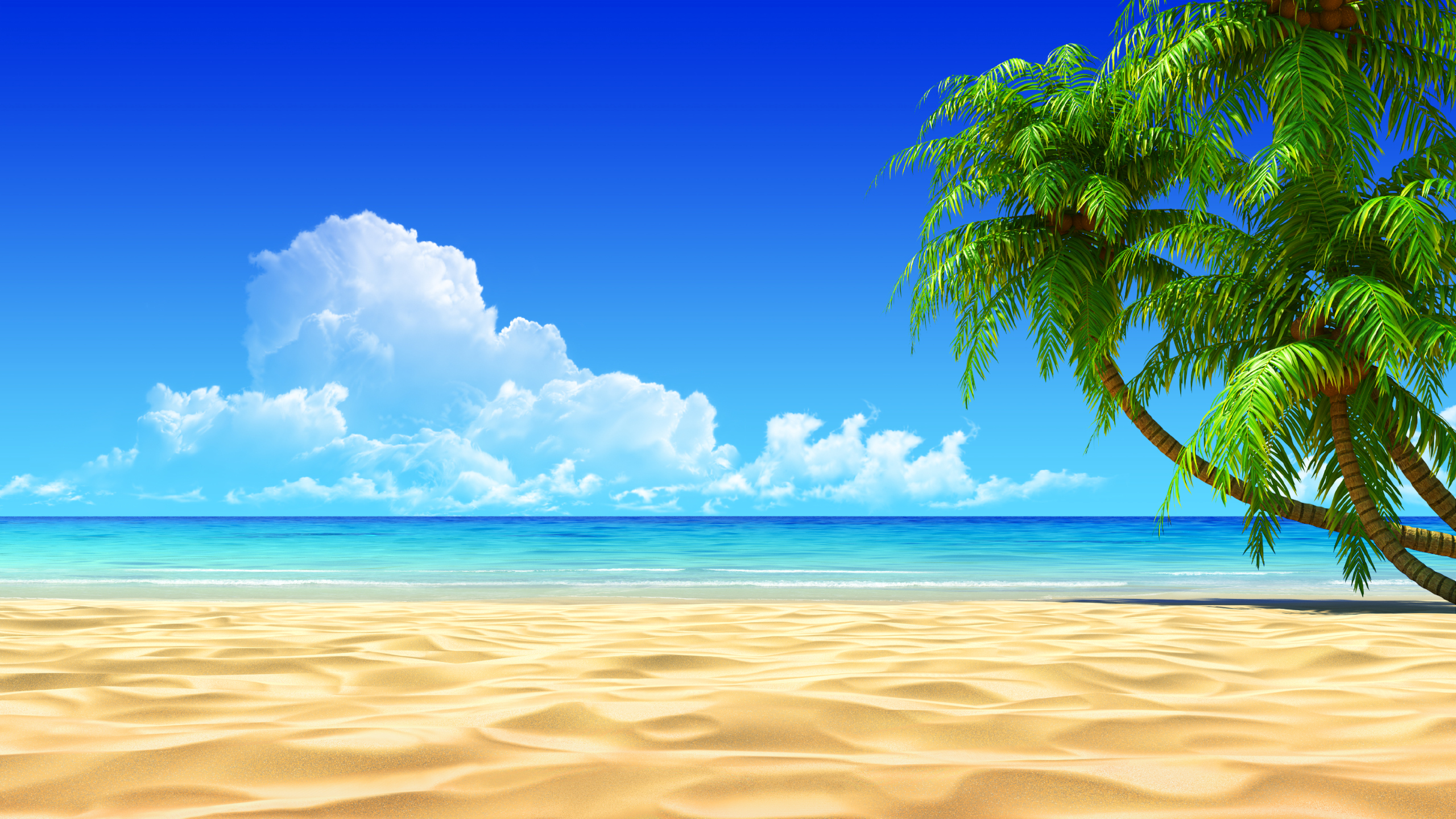 Beach Background Wallpaper 2560x1440 59893