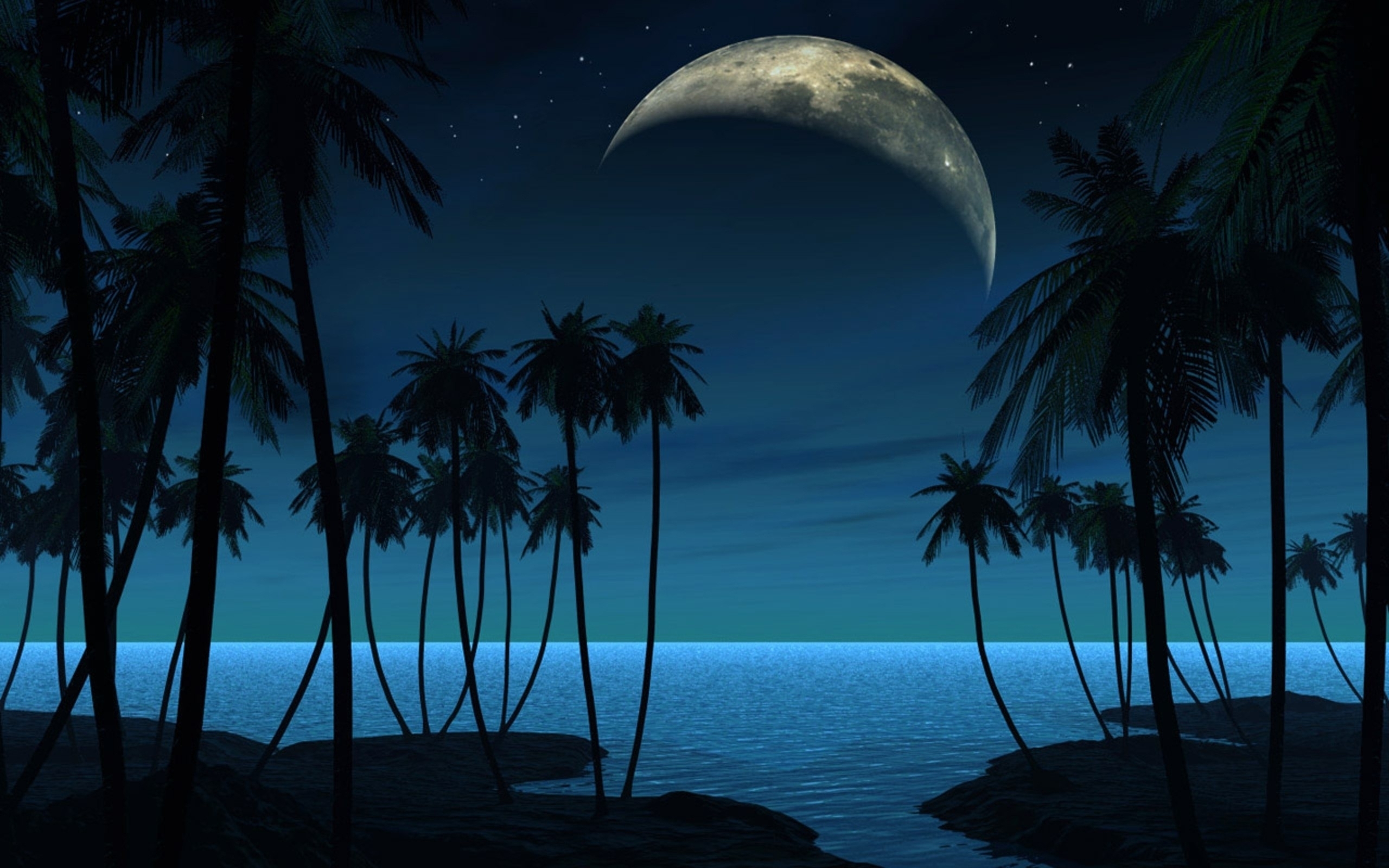 Beach Moon Night wallpaper | 2560x1600 | #29176