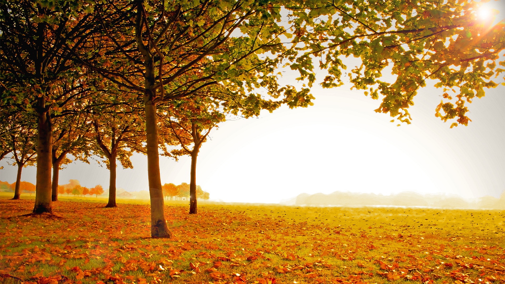 Beautiful Fall Scenery wallpaper | 1920x1080 | #29315