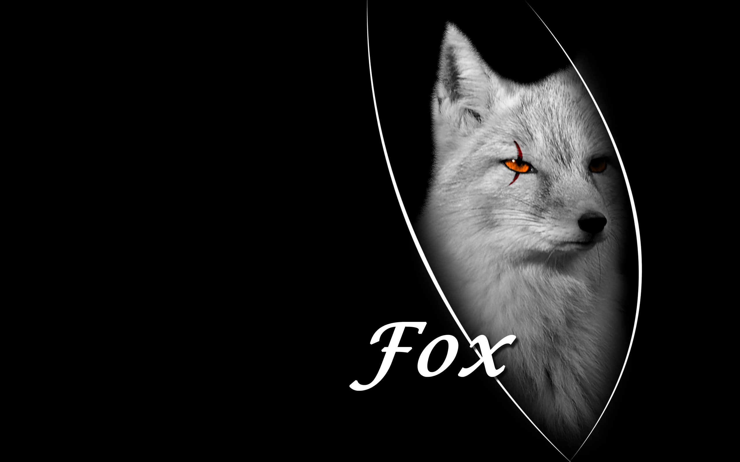 Cool Fox wallpaper | 2560x1600 | #12308