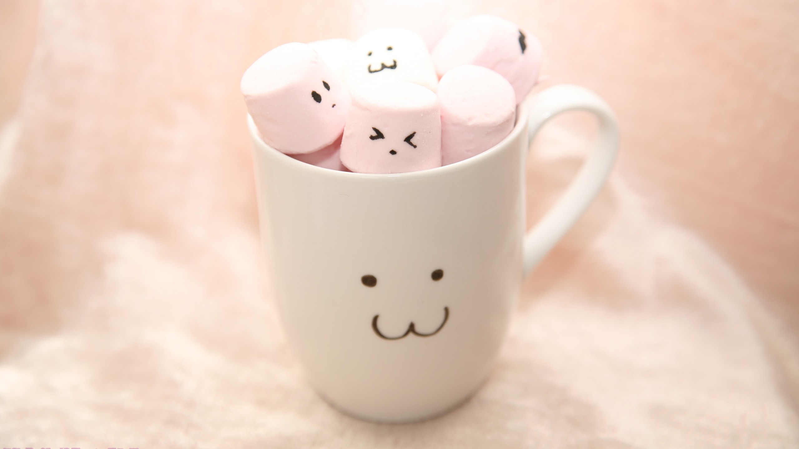 Cute Marshmallow Wallpaper 2560x1440 24266