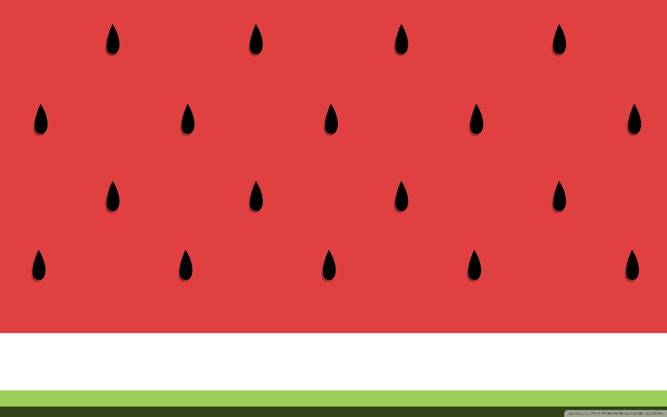 Cute Watermelon Wallpaper 2560x1600 7619
