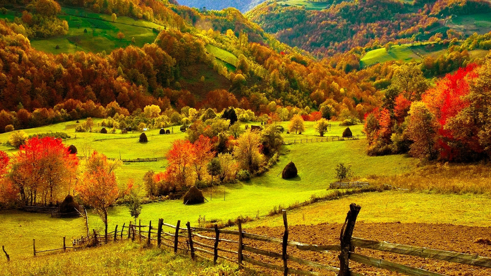 http://eskipaper.com/images/fall-scenery-3.jpg
