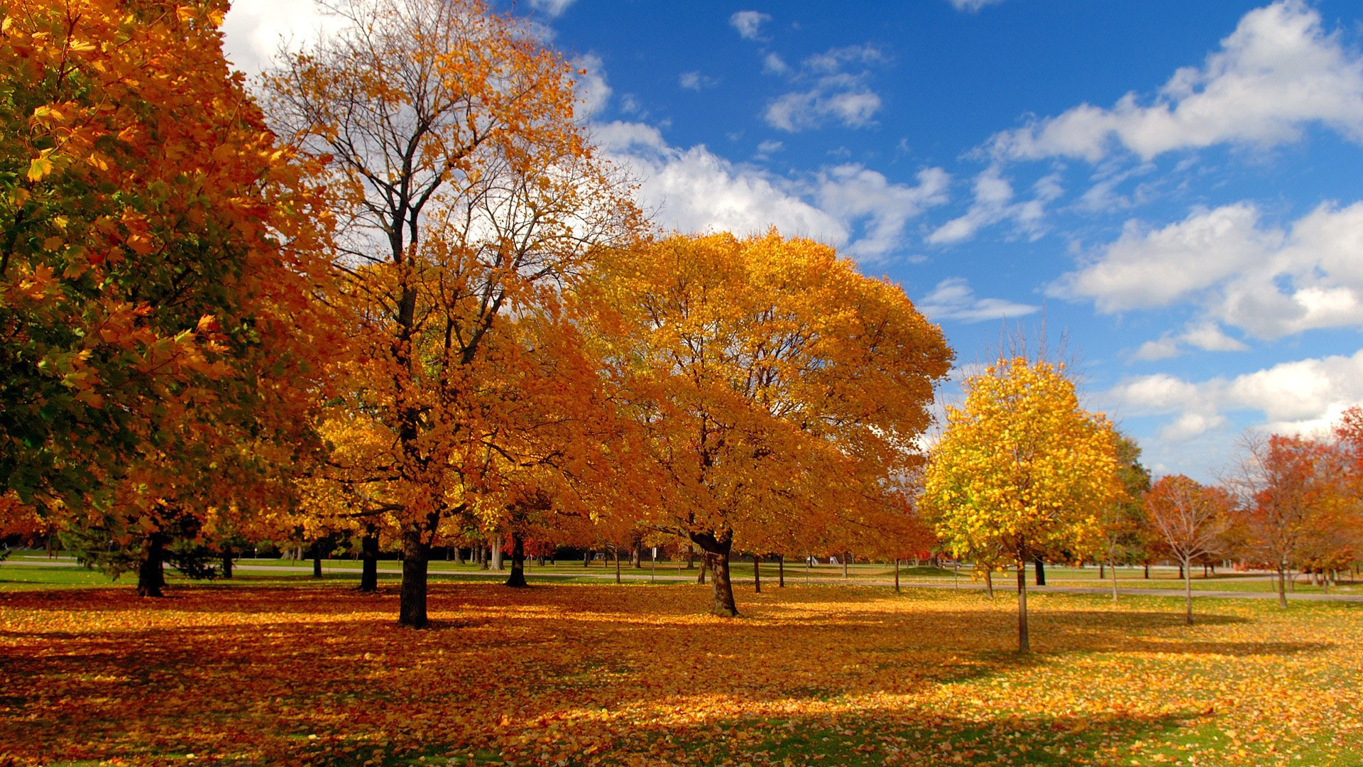 [Image: fall-trees-2.jpg]