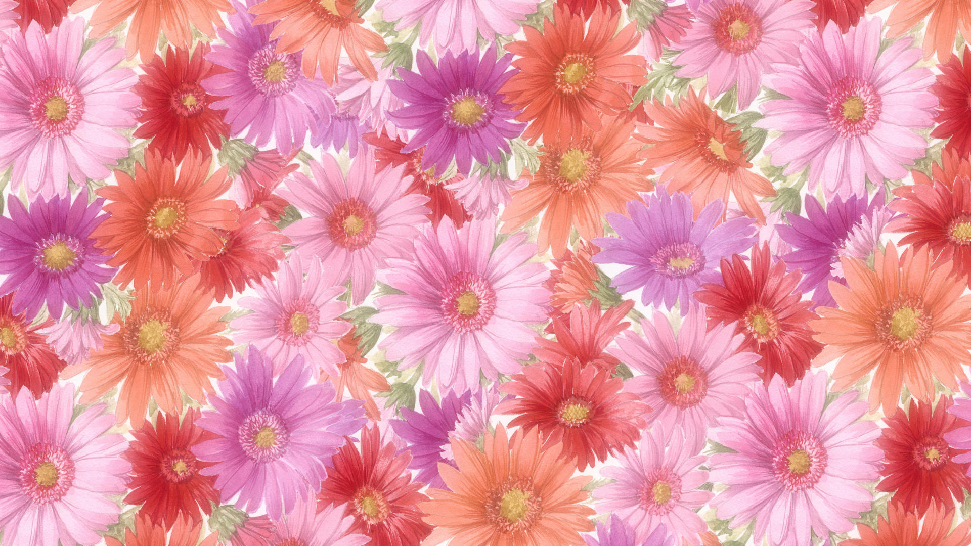 Red Flowers HD wallpaper | 1920x1080 | #23498