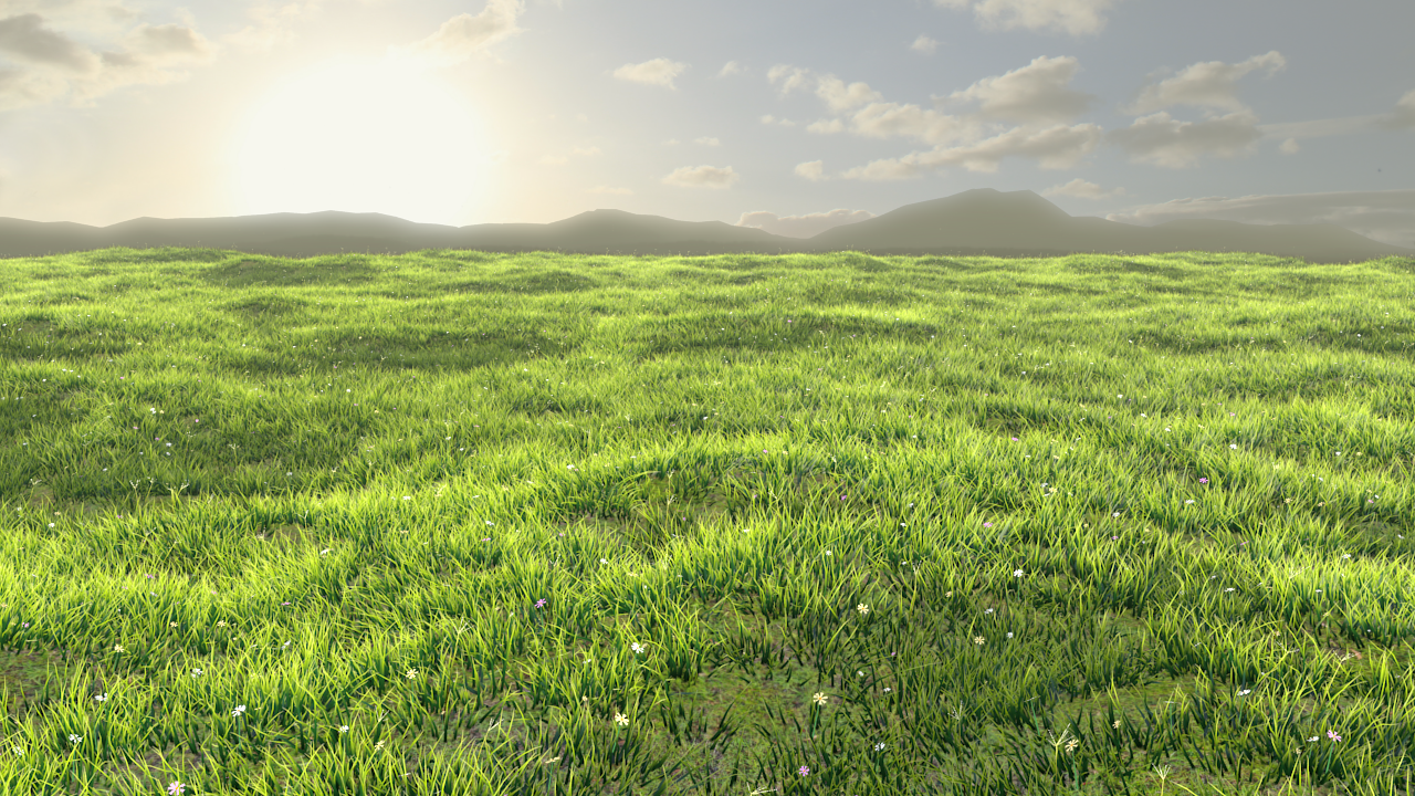 Grass Field Wallpaper 1280x720 30462