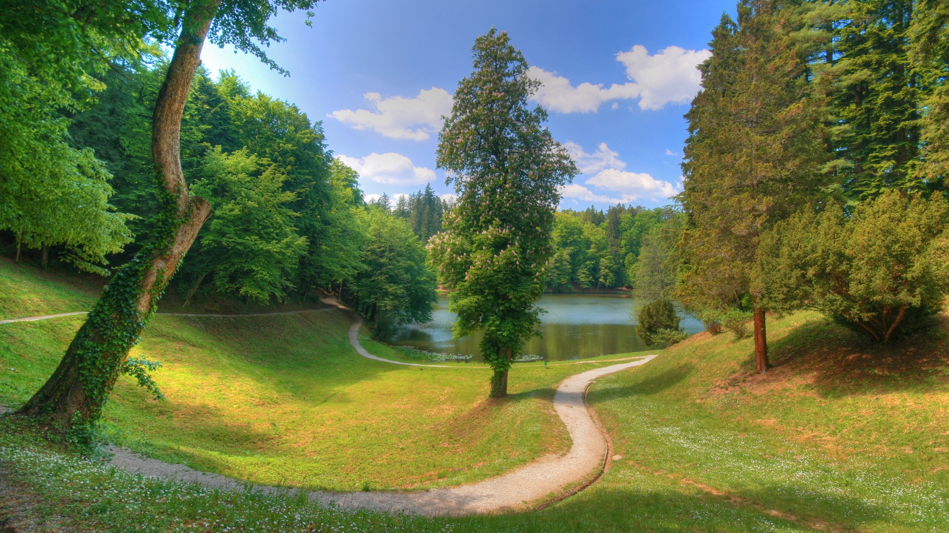 Park Wallpaper 1920x1080 68776