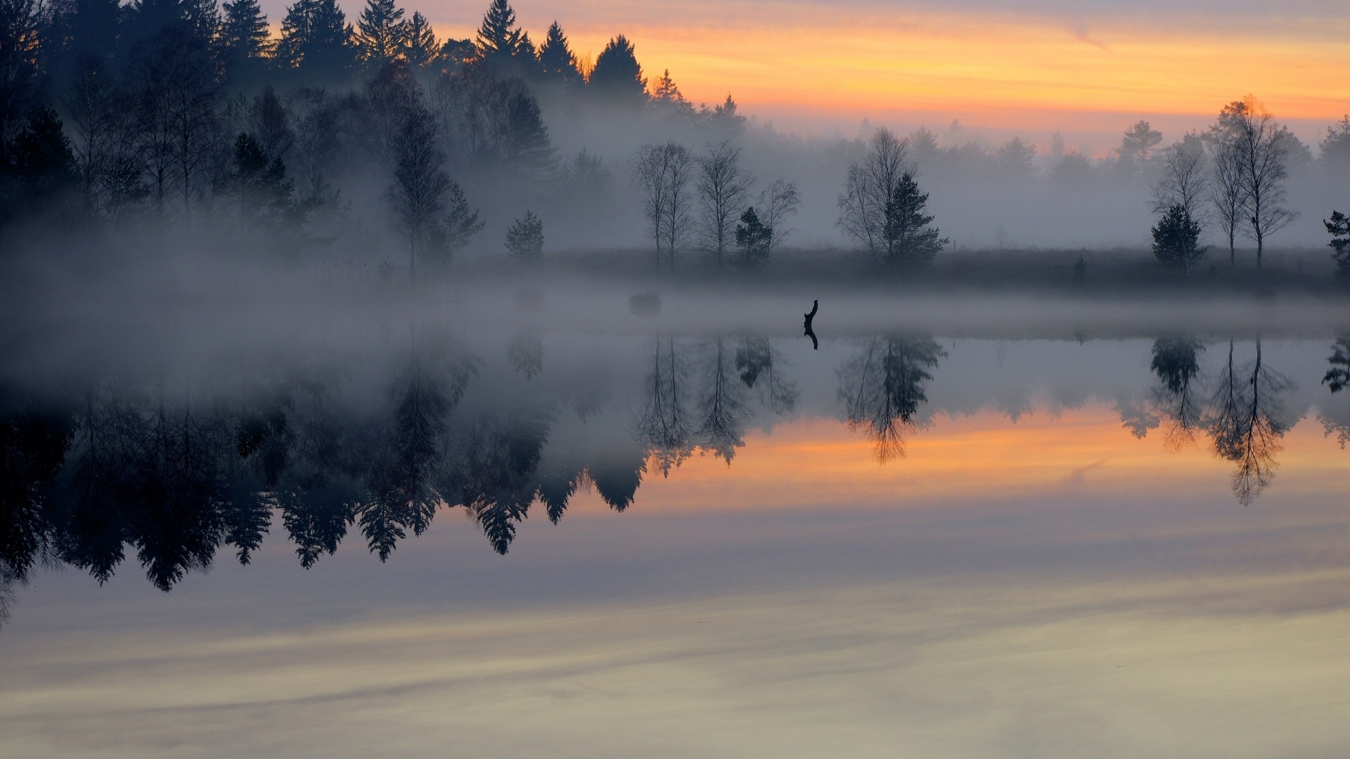 lake-mist-wallpaper-1920x1080-79631