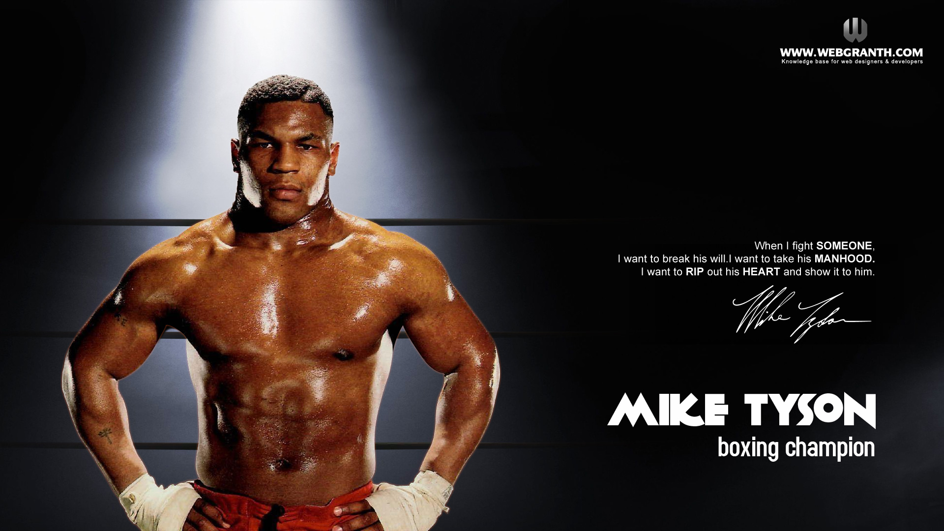 Káº¿t quáº£ hÃ¬nh áº£nh cho mike tyson wallpaper