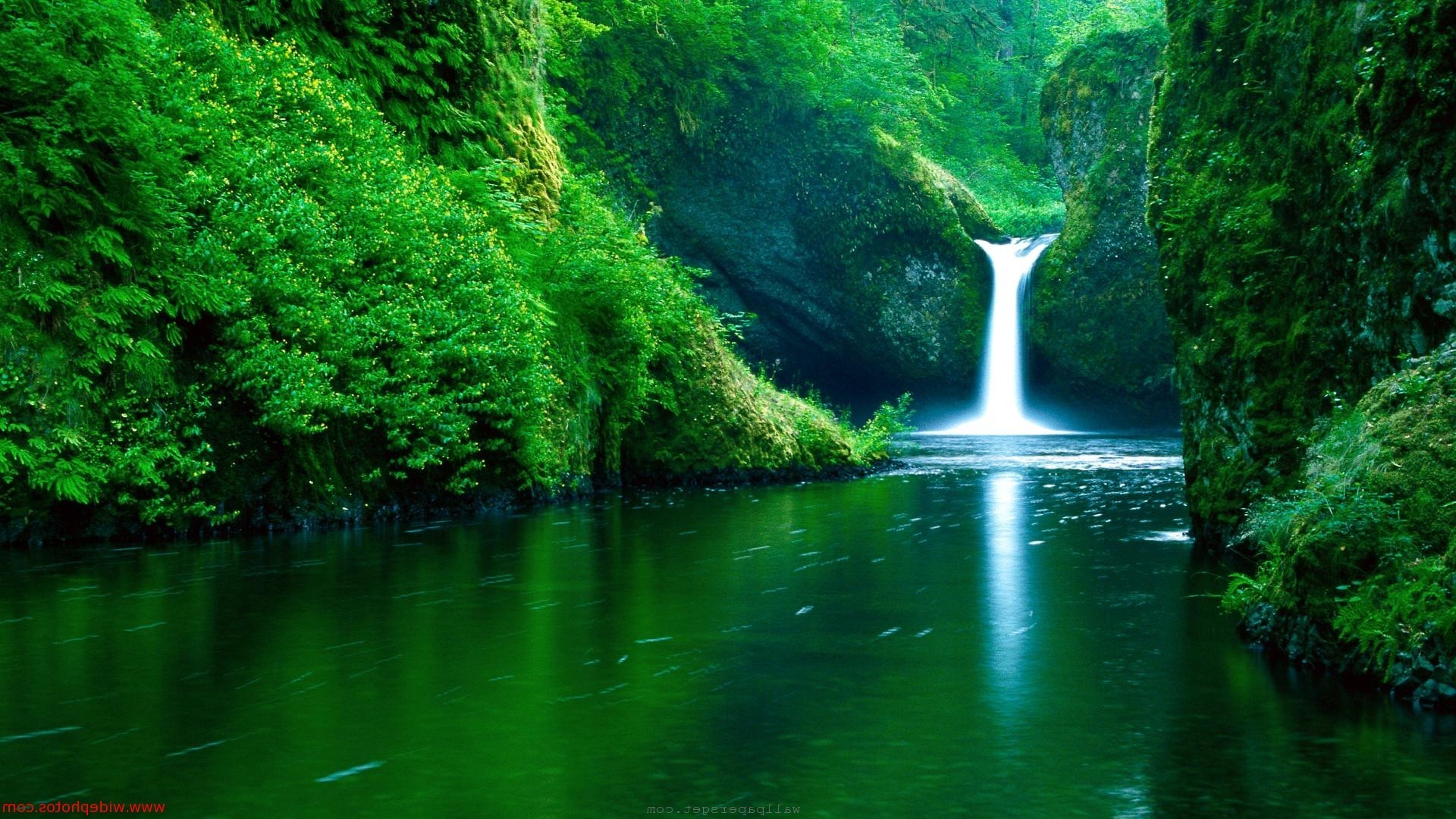 Nature Backgrounds wallpaper | 1920x1080 | #55312