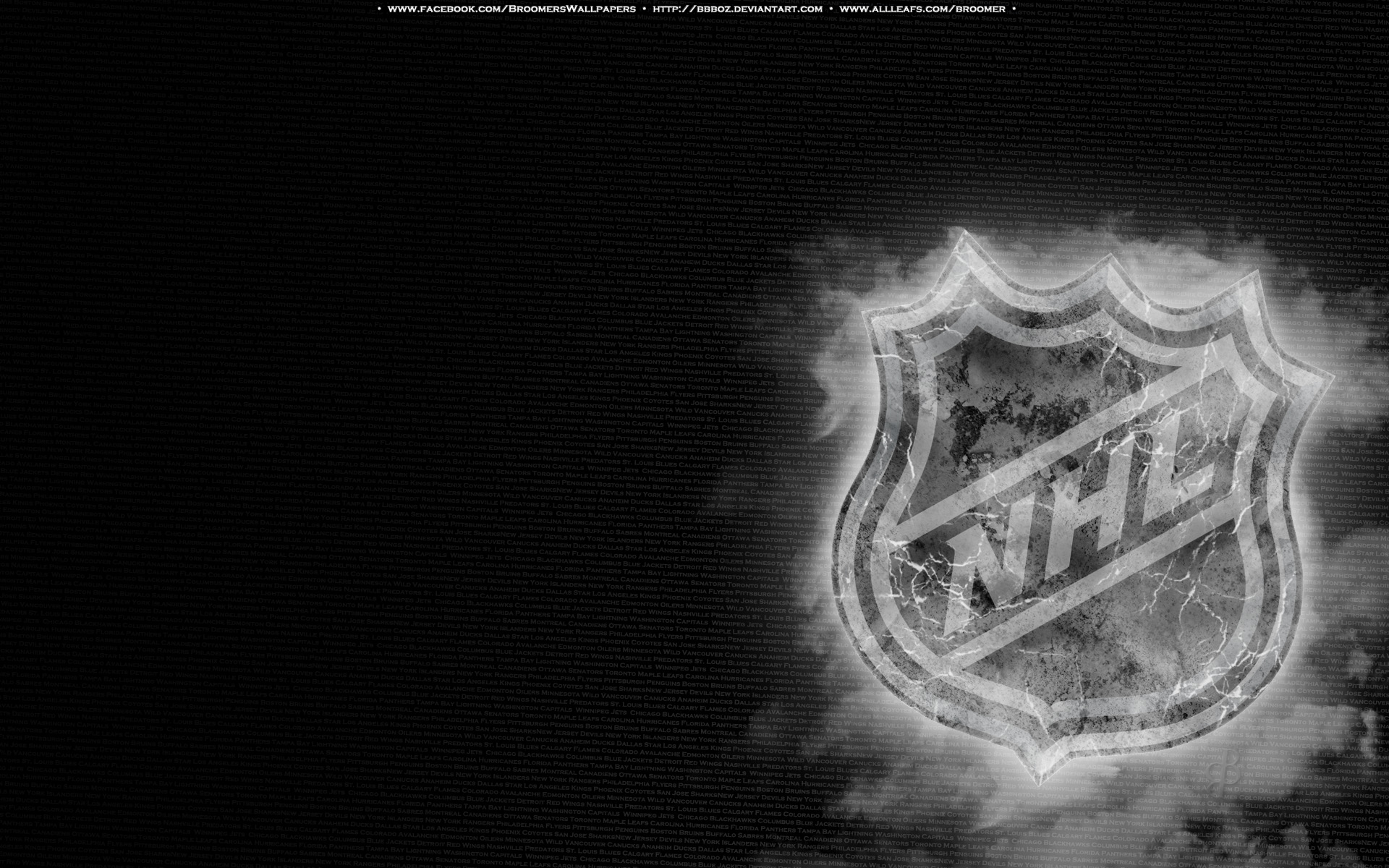 NHL wallpaper | 1920x1200 | #54058