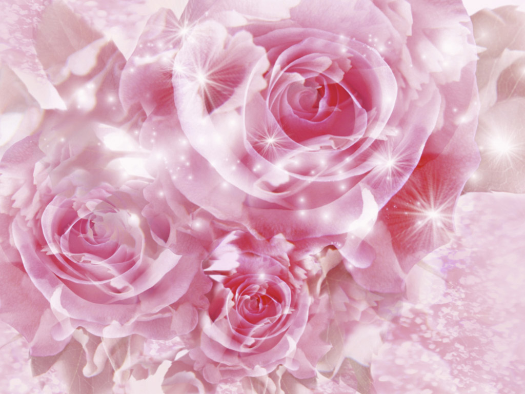 Pink Roses Background Wallpaper 1024x768 23396