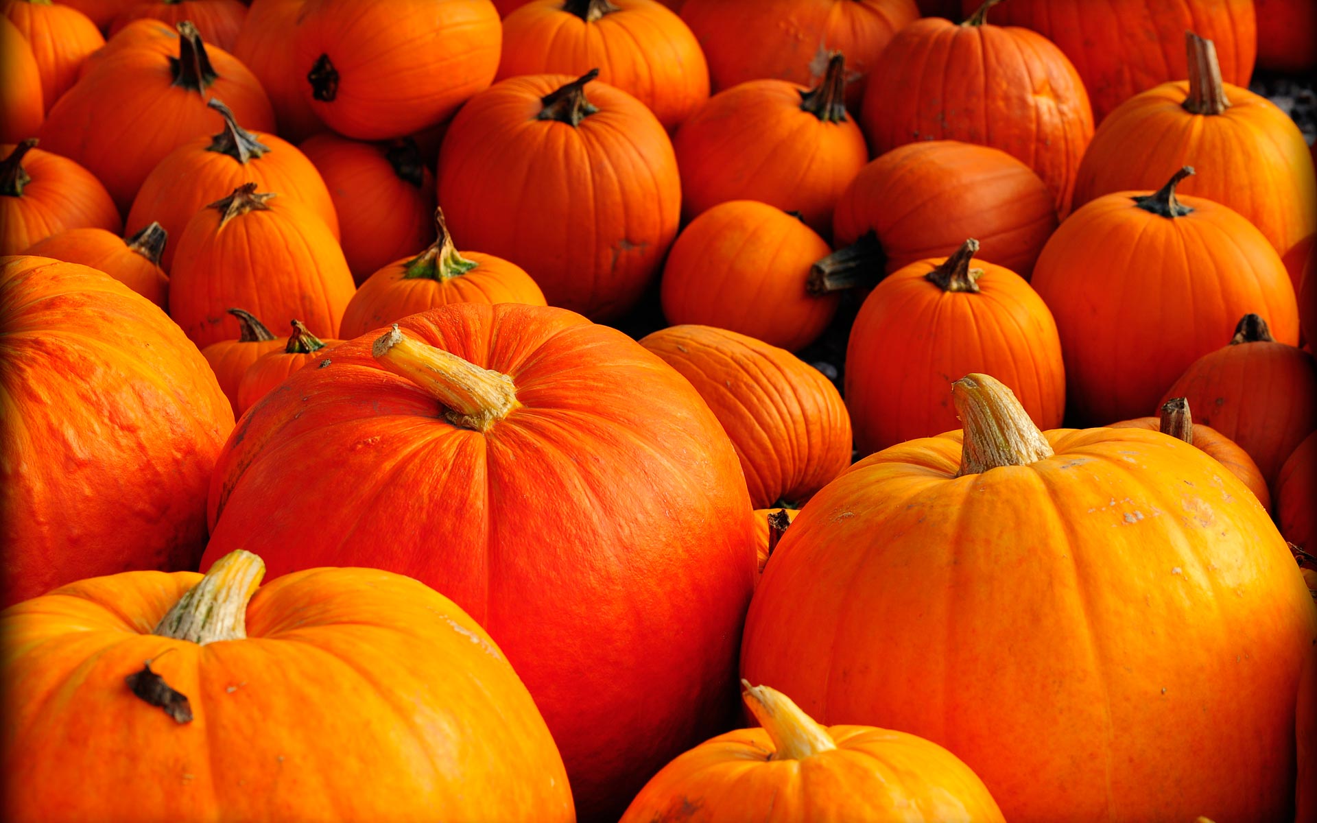 Image result for images of autumn with pumpkins