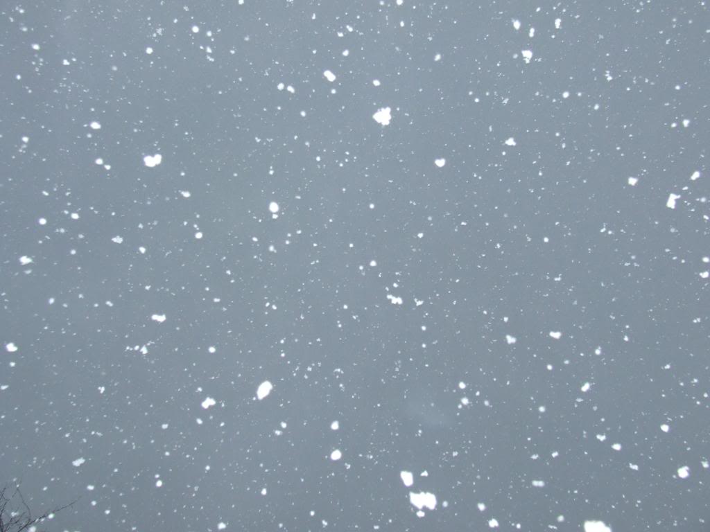 Snow Falling Wallpaper 1024x768 83798