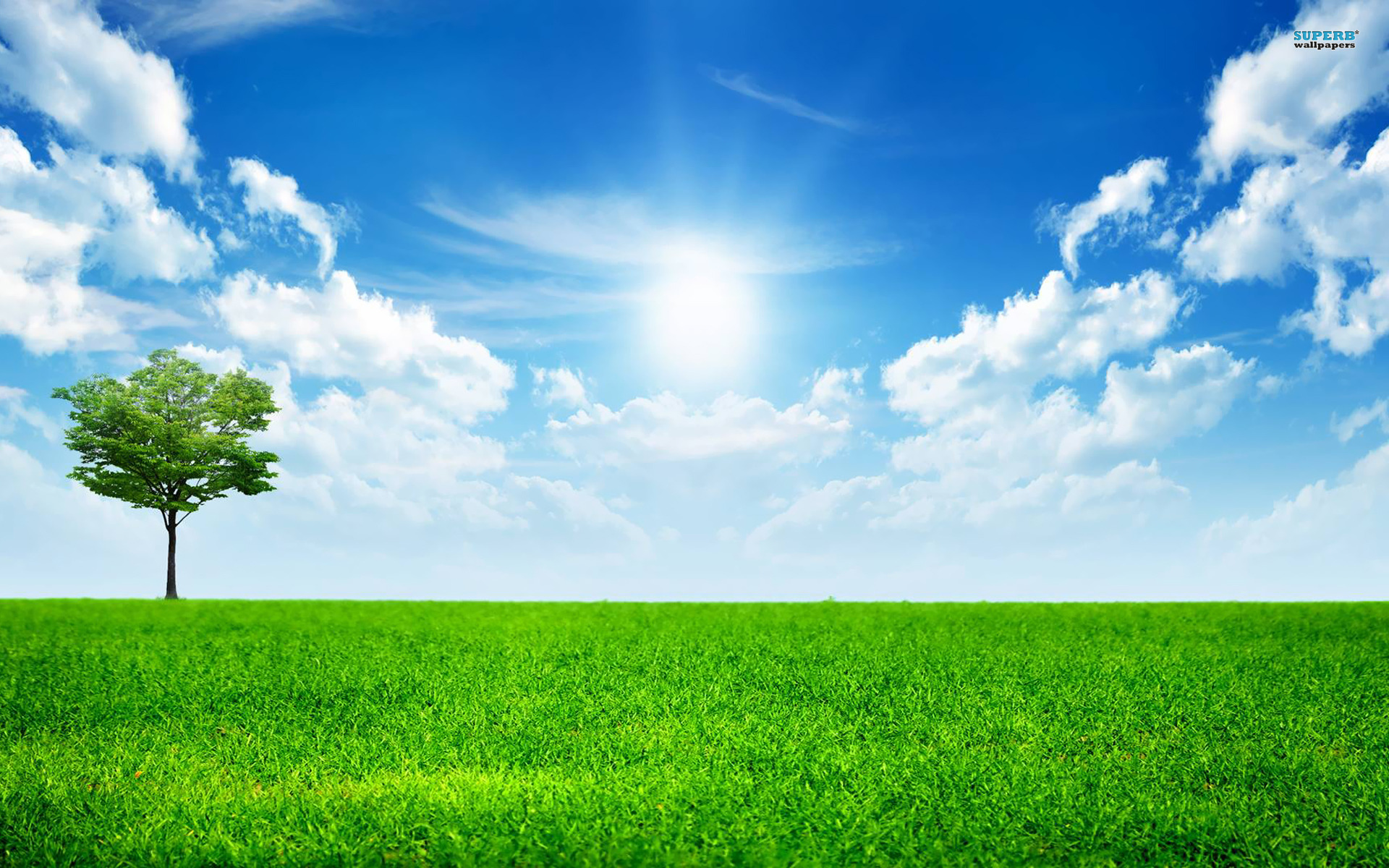 Sunny Day Background wallpaper  1920x1200  32061