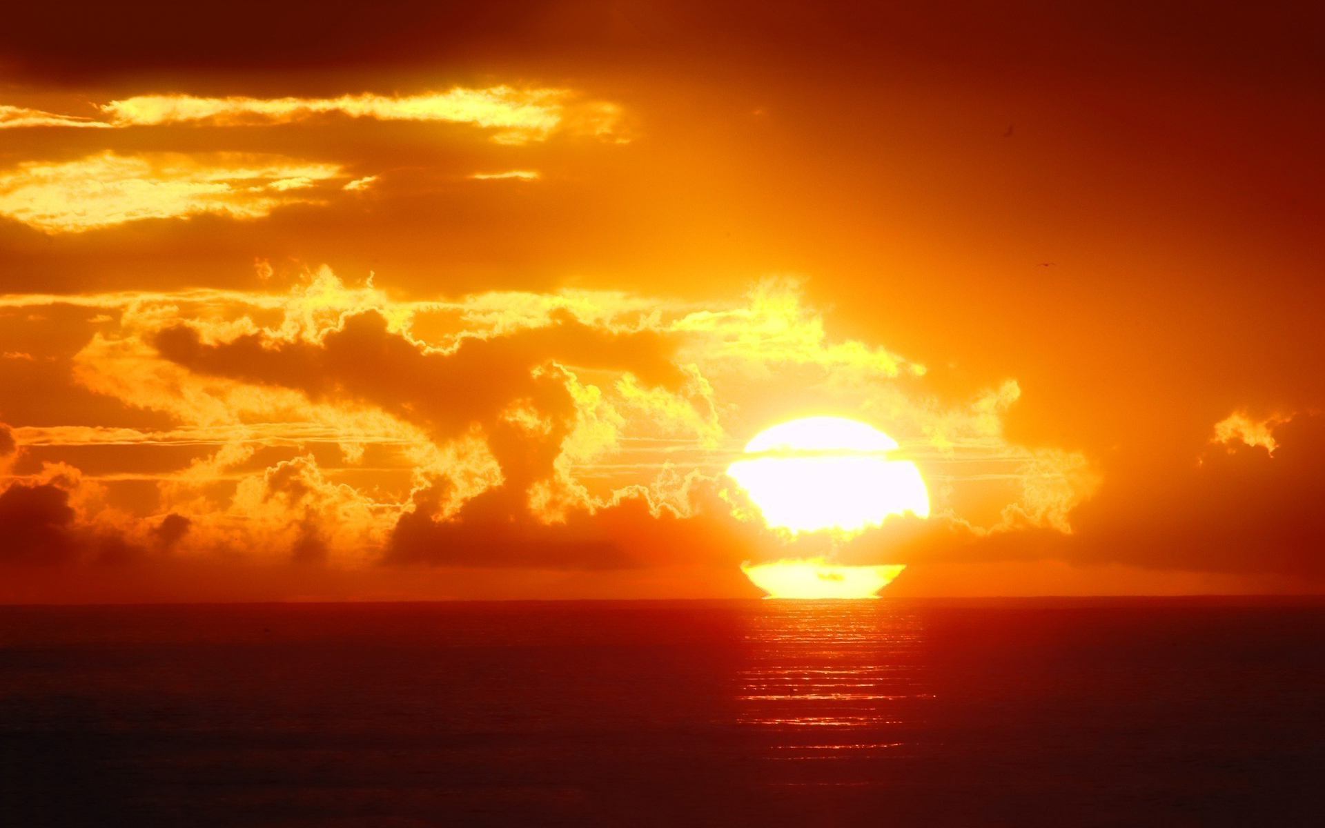 Sunset sun ocean sky wallpaper