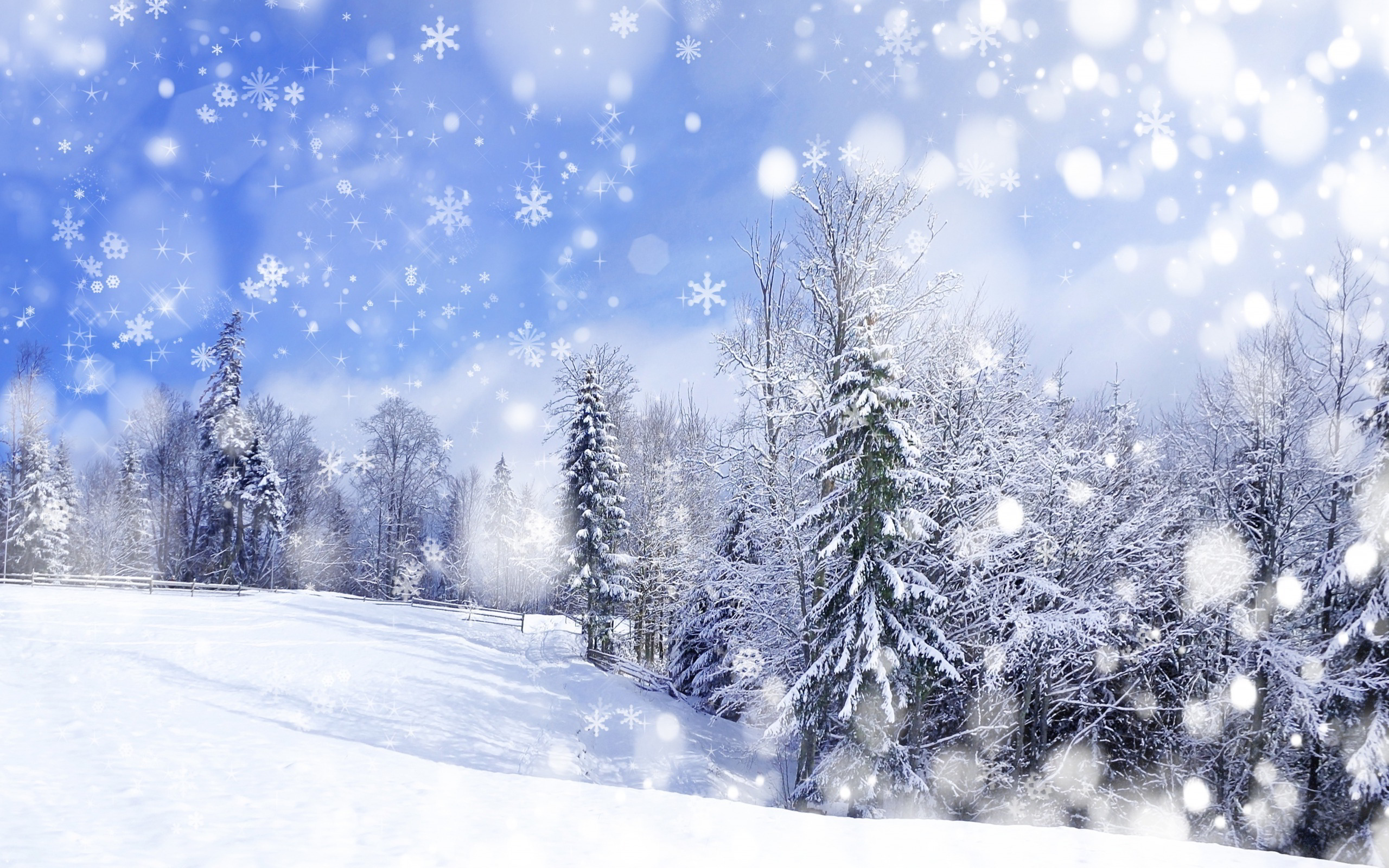 Winter Scenery wallpaper | 2560x1600 | #69064