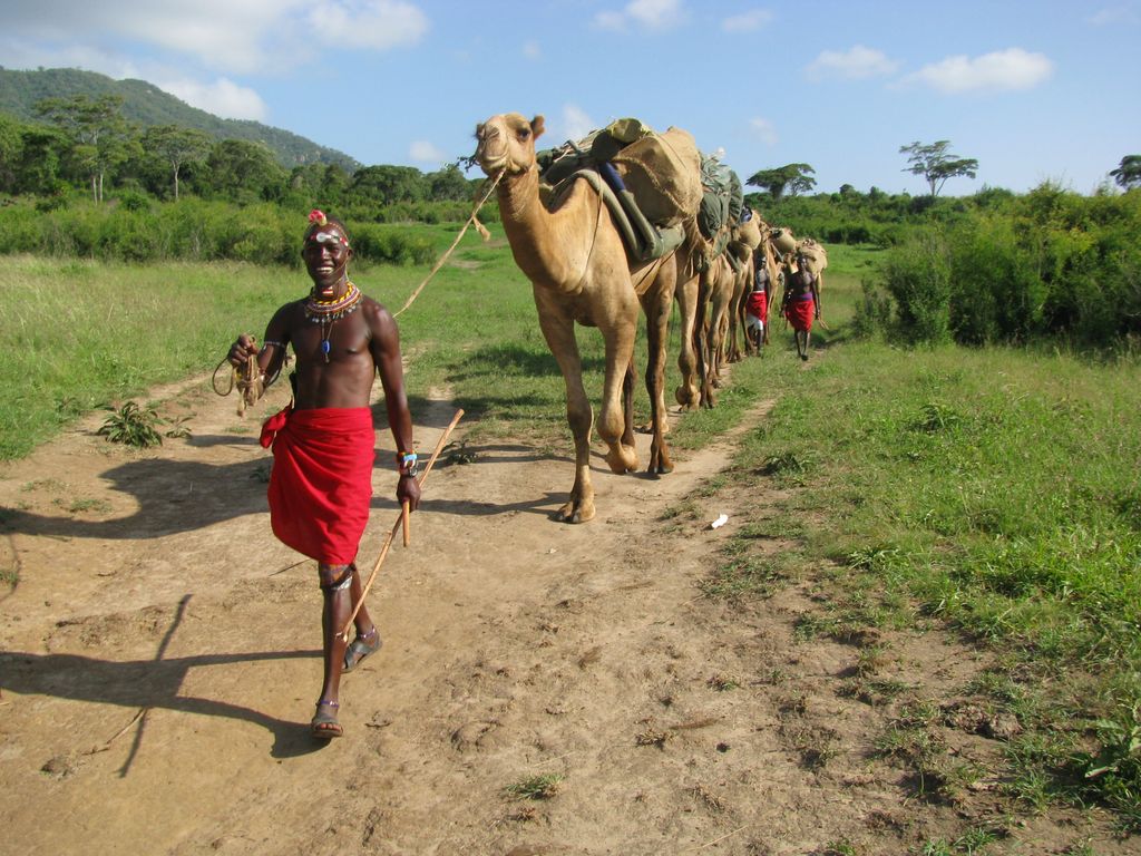 Man leading camel at Karisia, Africa.