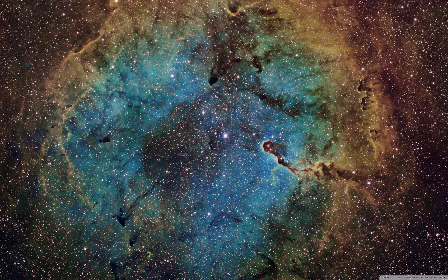 Amazing Nebula
