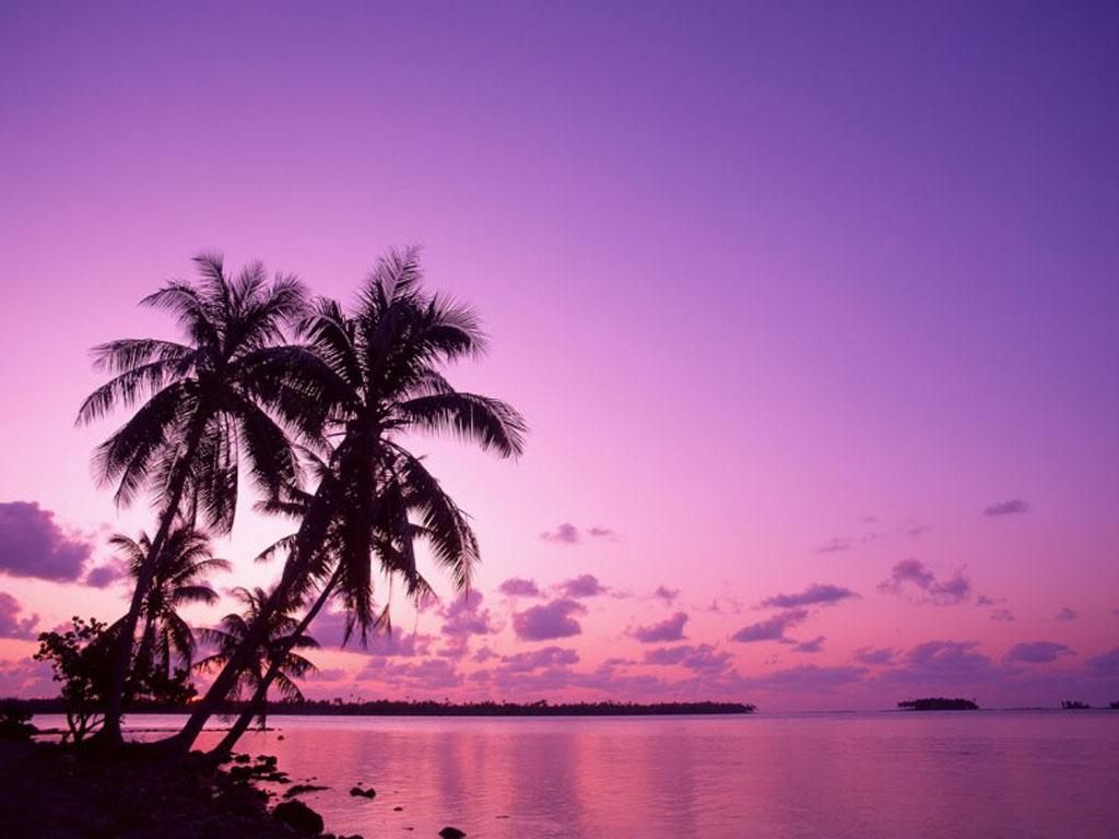 Amazing Purple Sunset