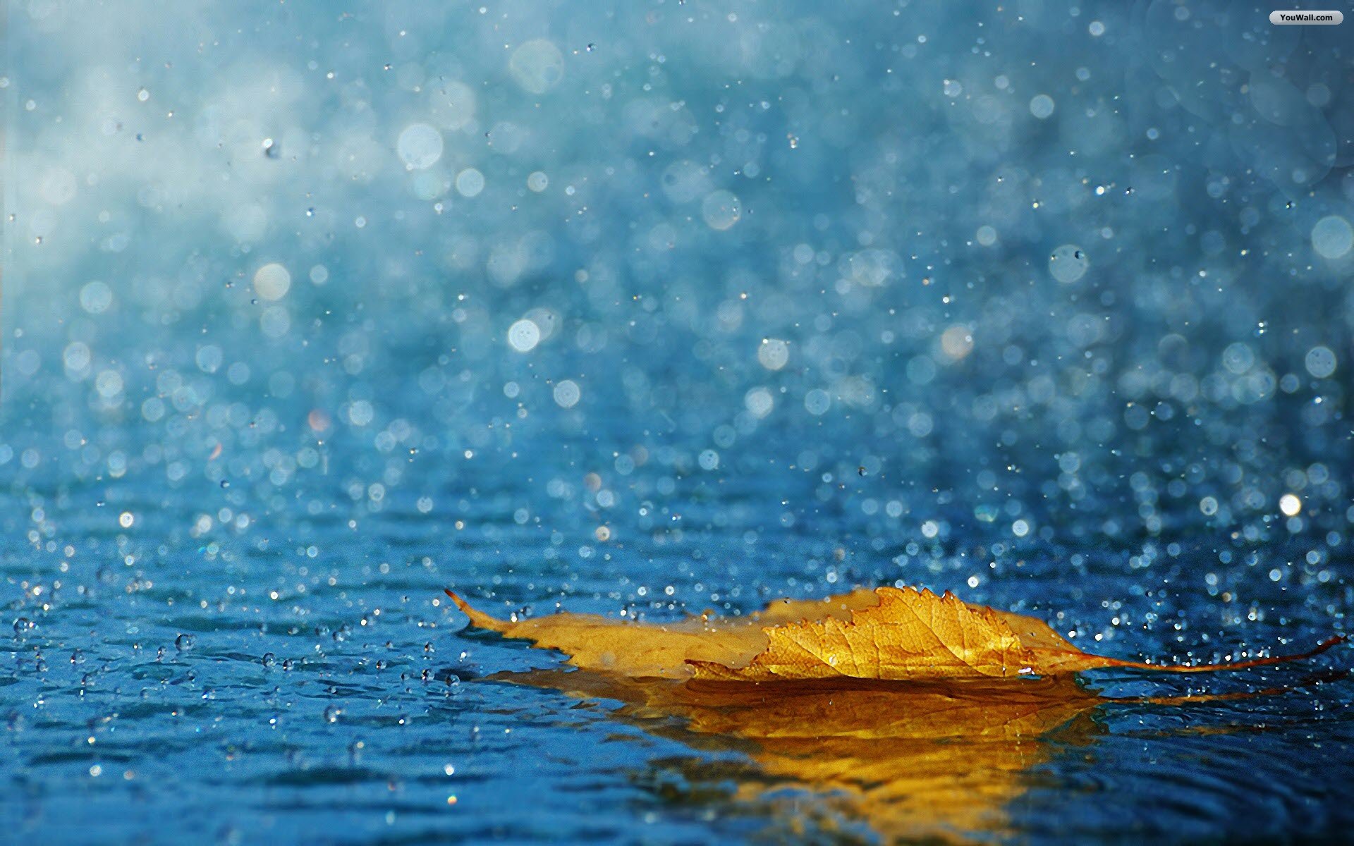 Beautiful Rain Desktop Wallpaper