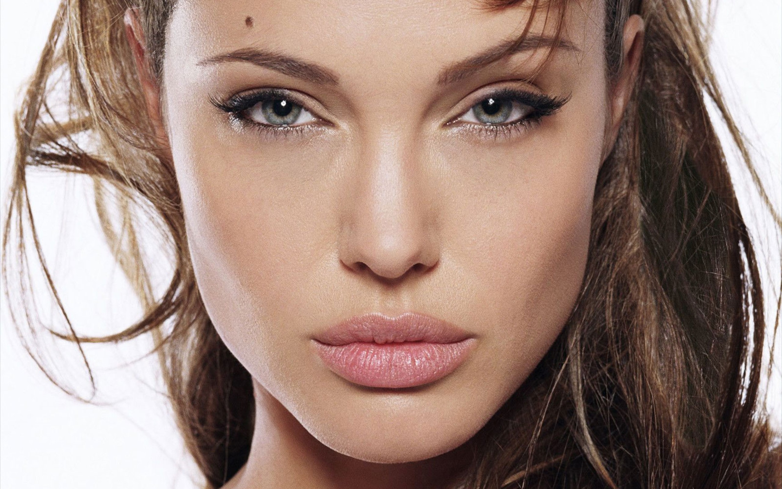 Latest Angelina Jolie HD Wallpaper Free Download