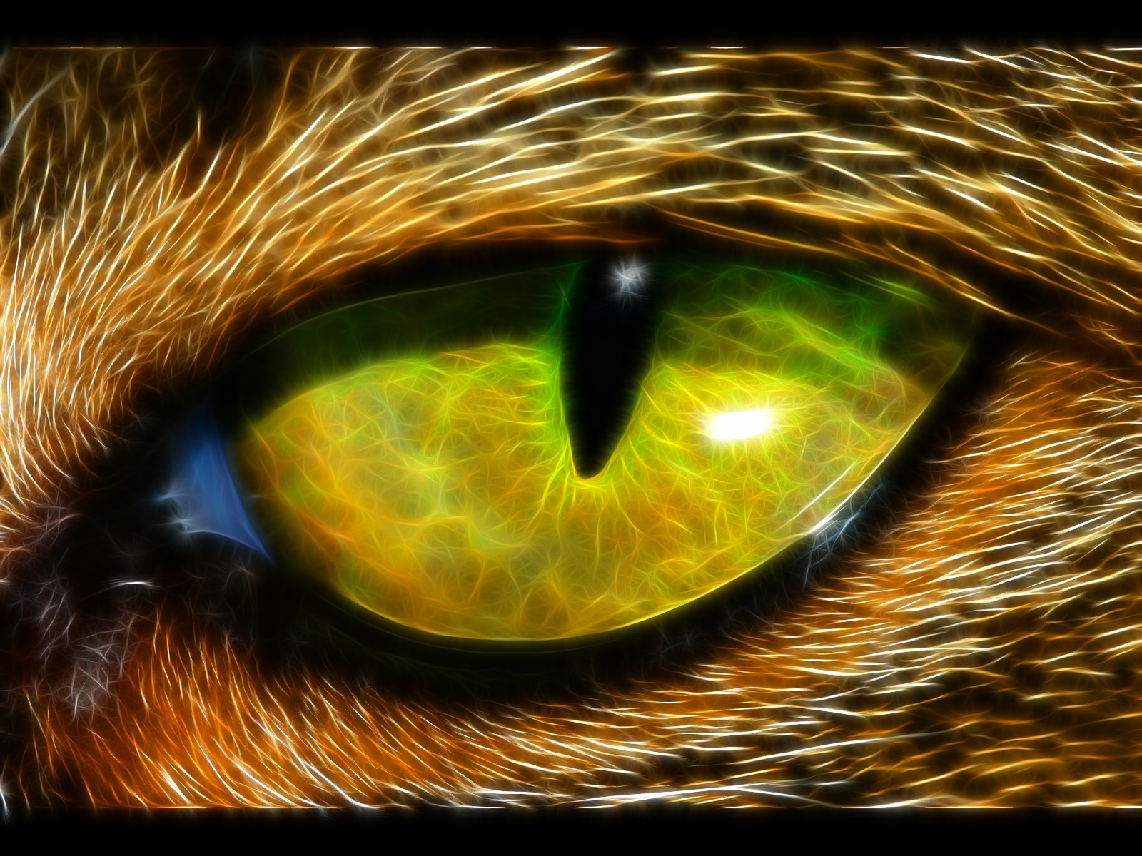 Fractal Animal Eye Wallpaper 1600x1200