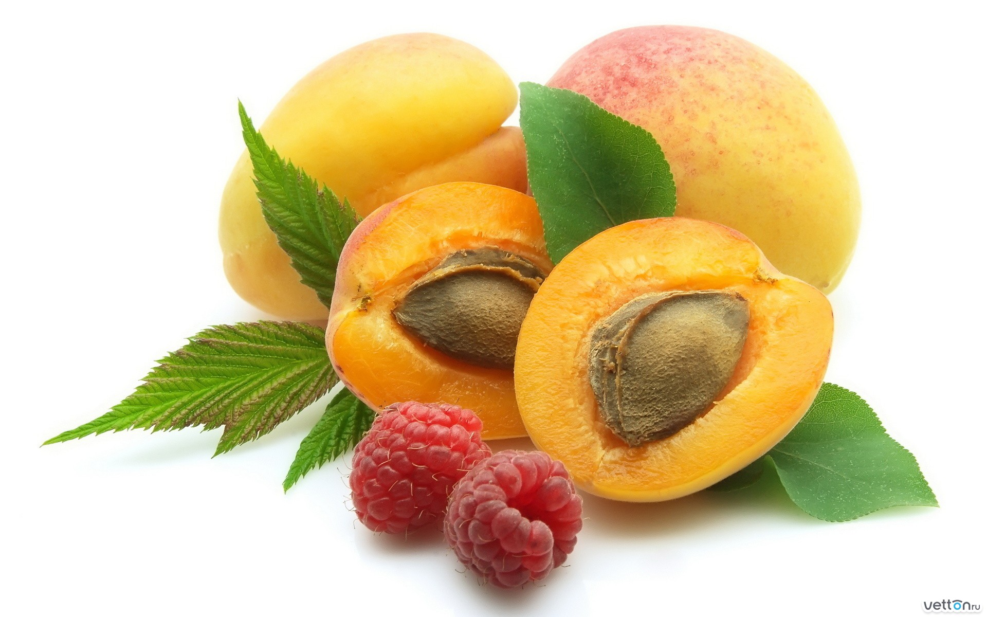 Healing properties of apricots