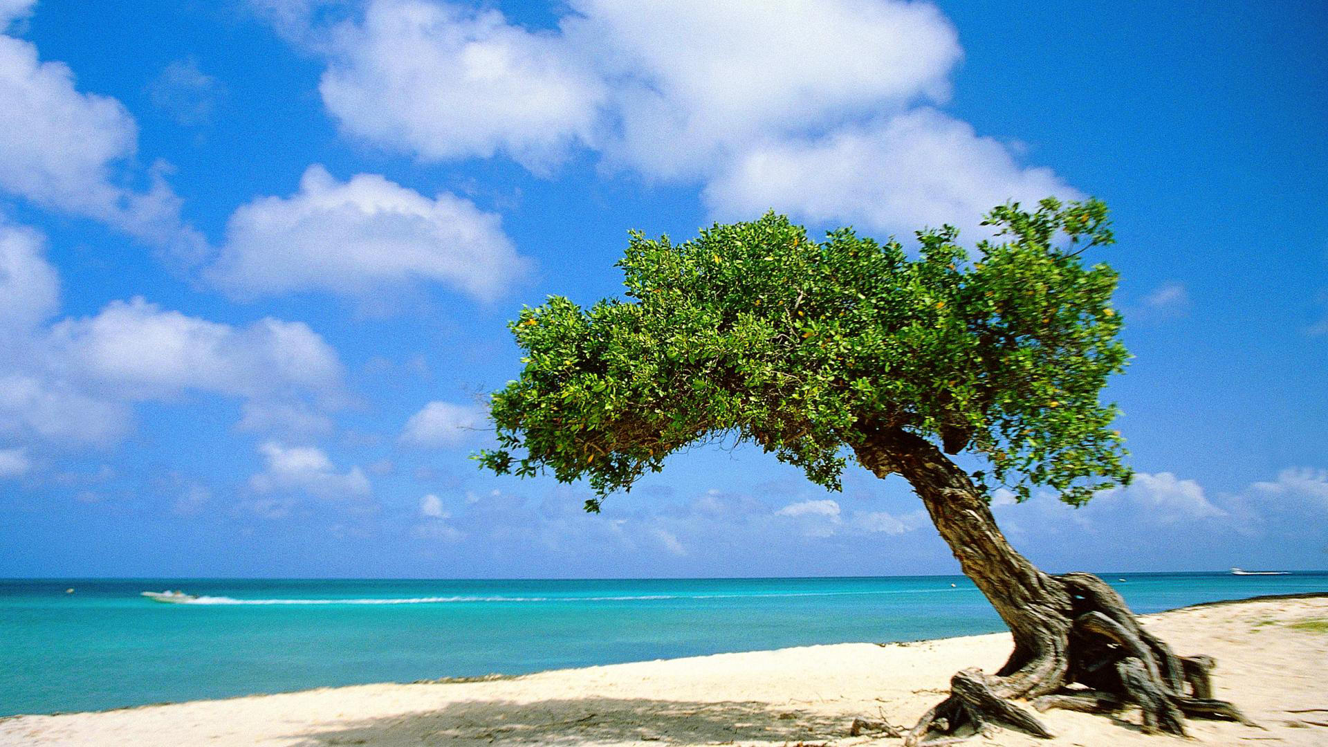 aruba-wallpaper-1920x1080-73490