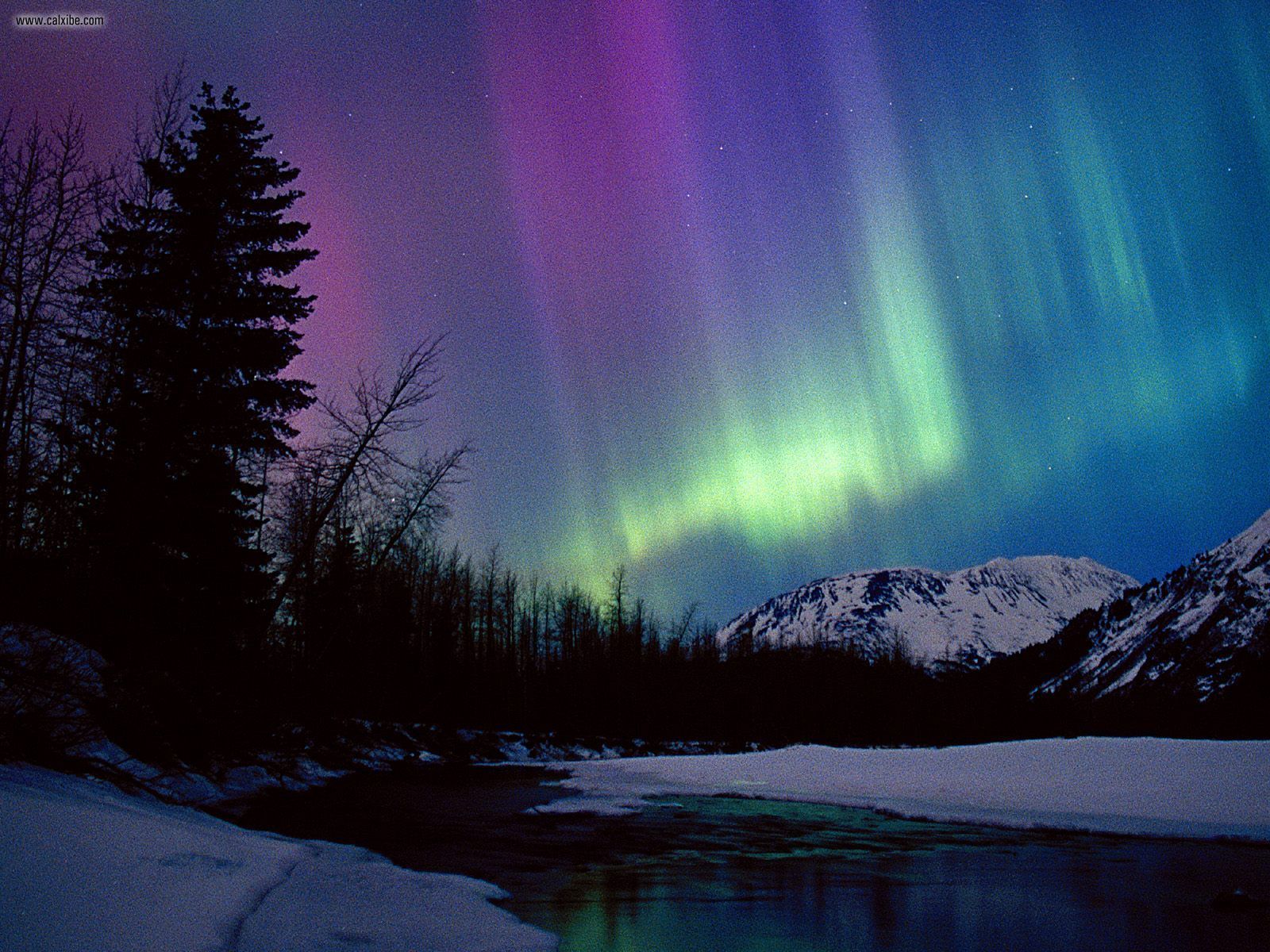 Aurora borealis art