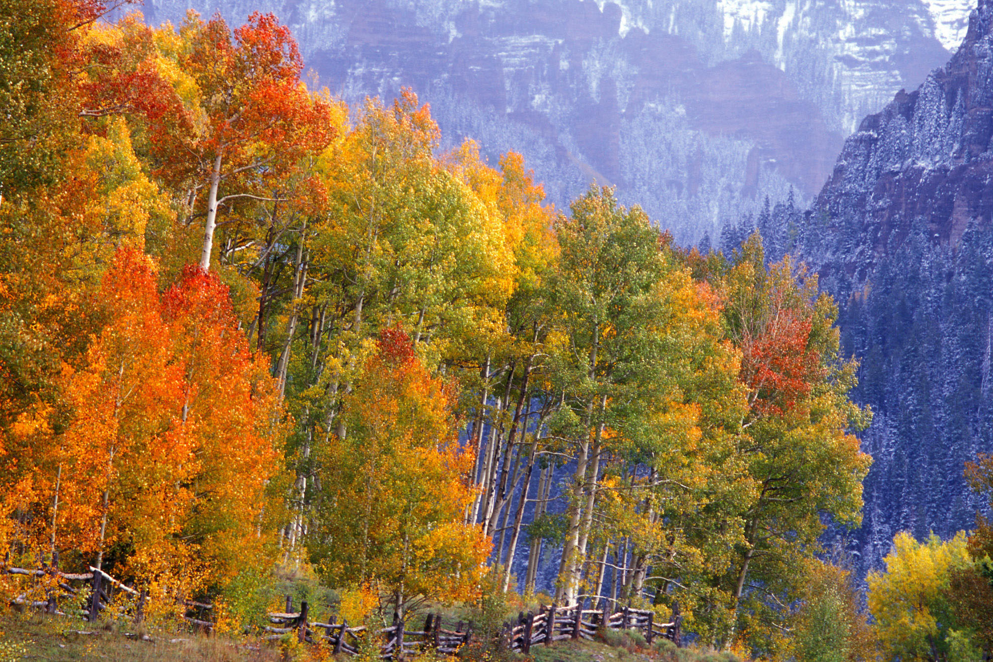 Nature Apple Desktop Autumn Colors Mac Background Nature