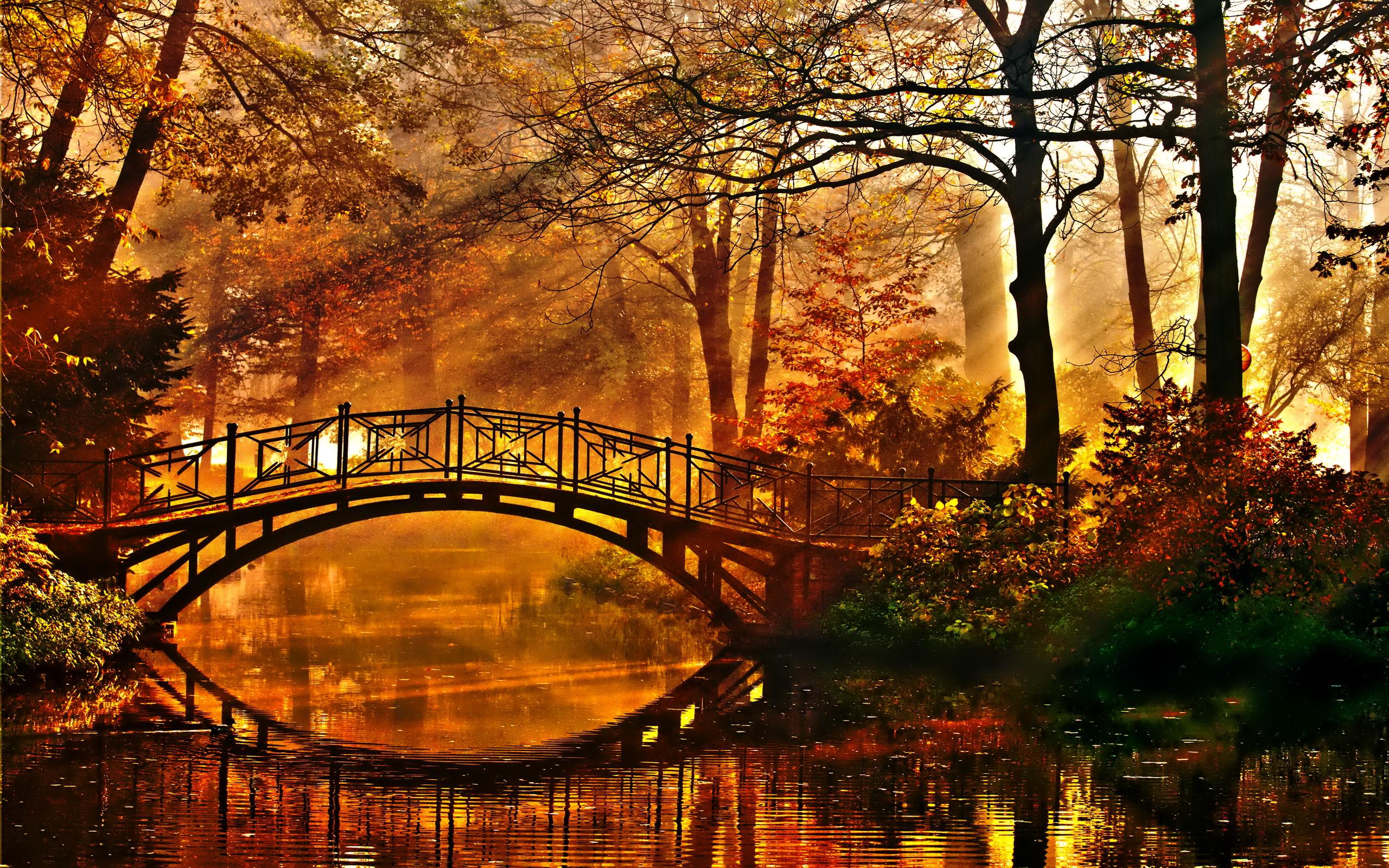 Autumn bridge HQ Wallpaper