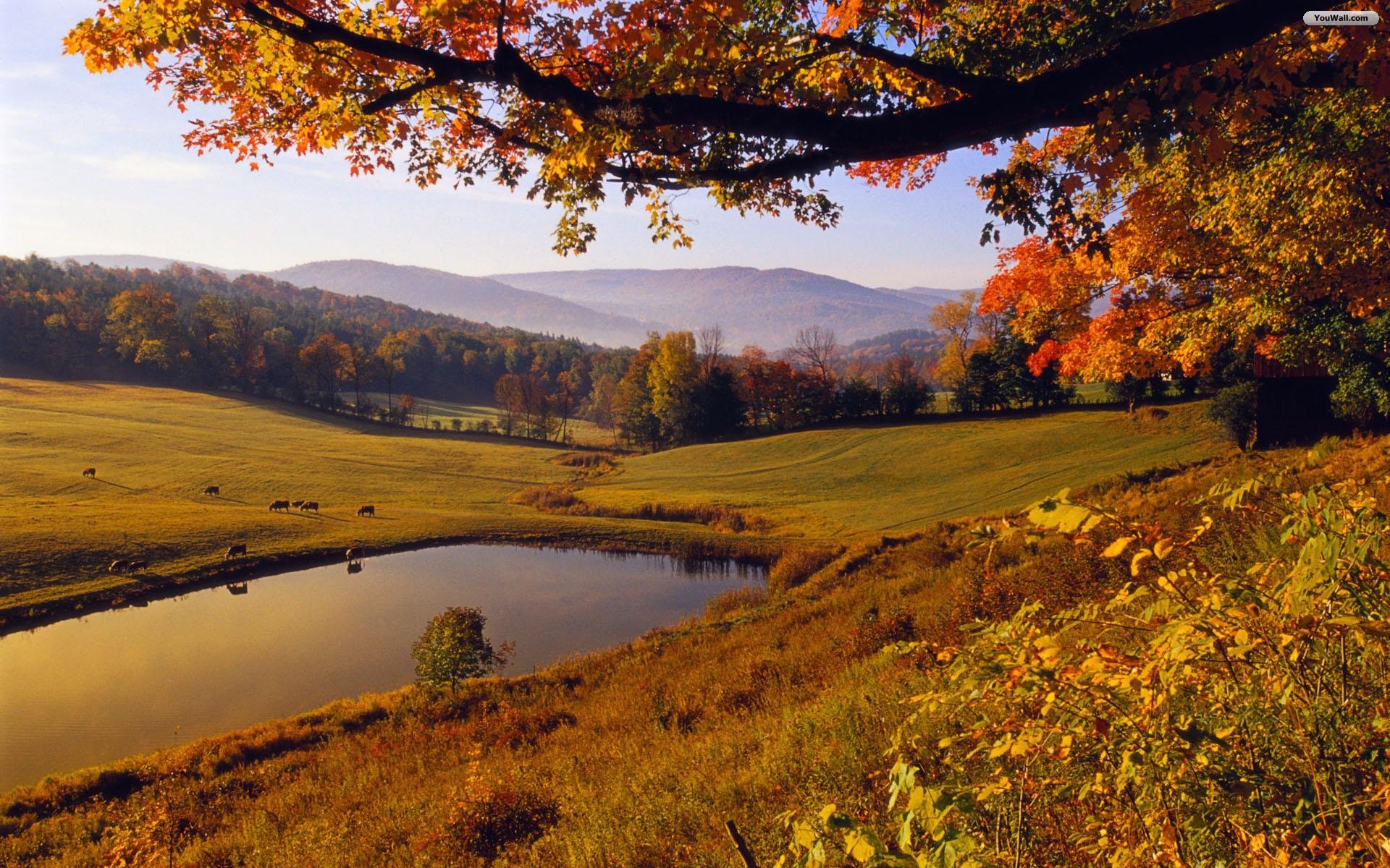 Autumn Landscape Wallpaper Hd Desktop 10 HD Wallpapers