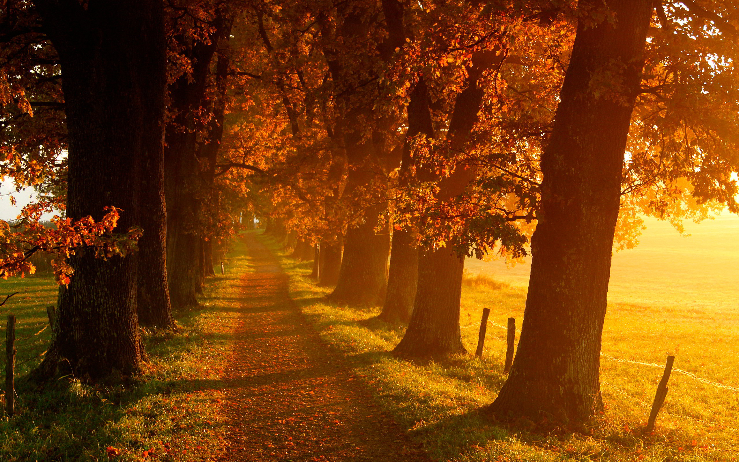 Autumn Landscape Scenery