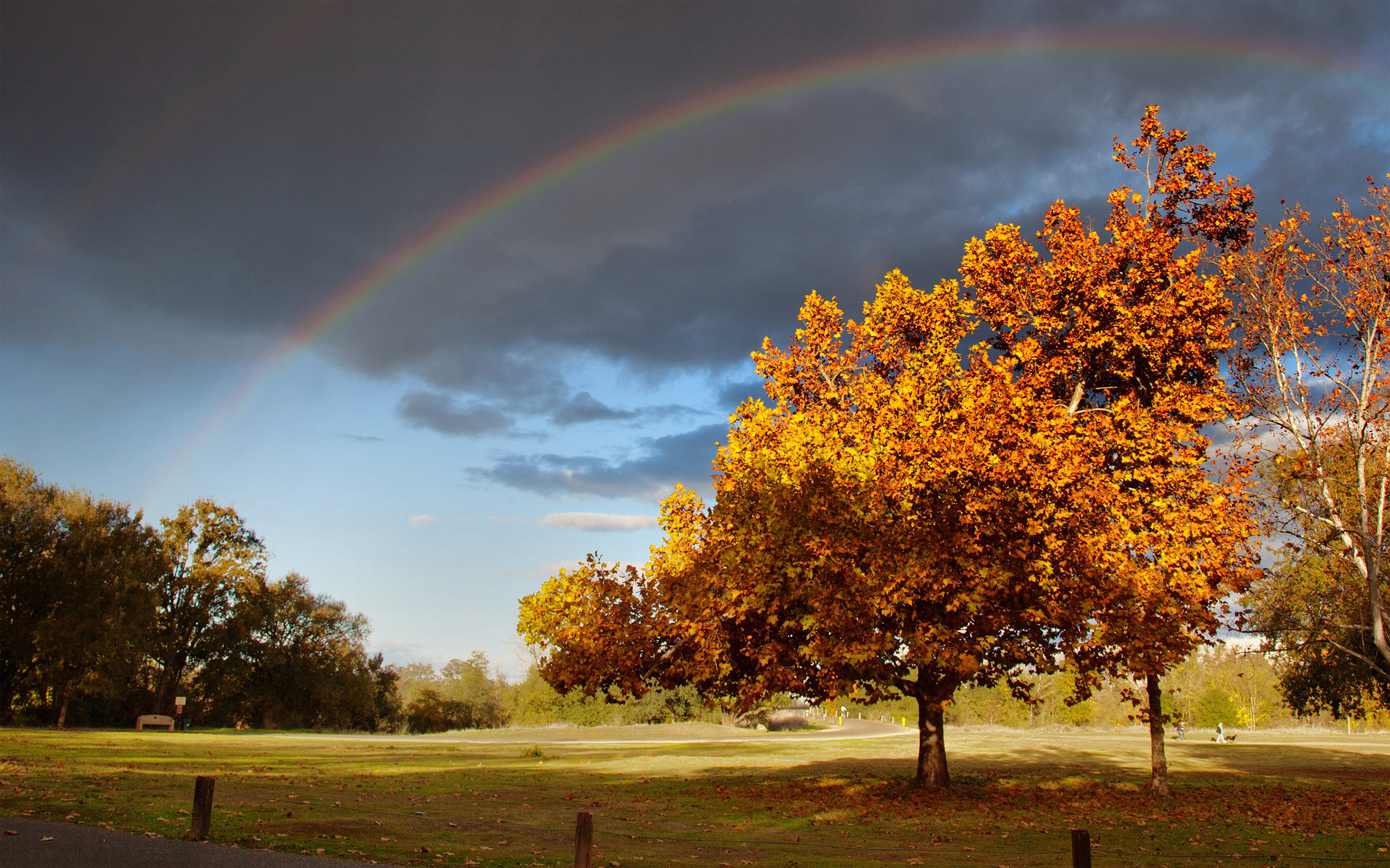 Autumn Rainbow Landscape