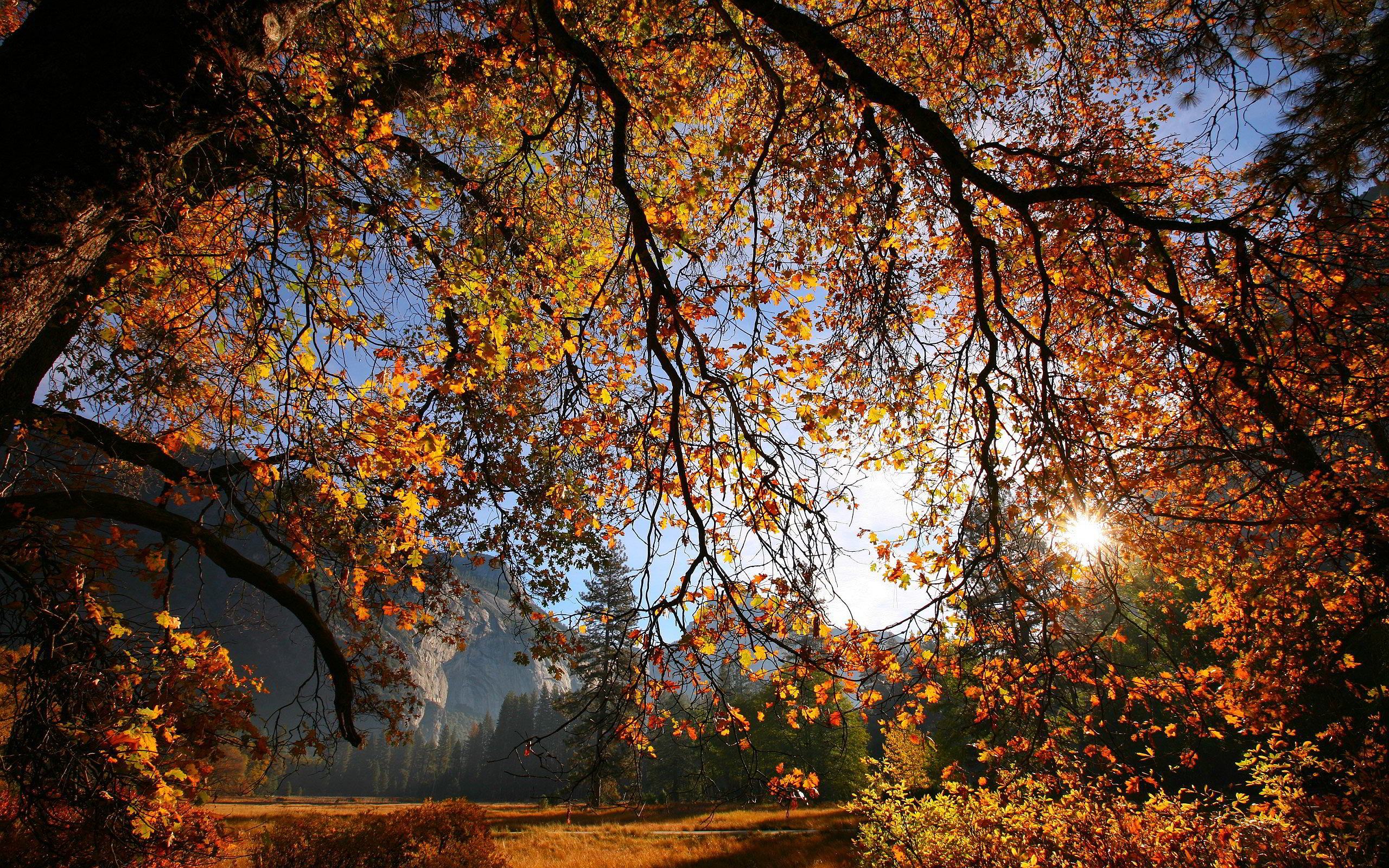 Autumn Sunset Landscape