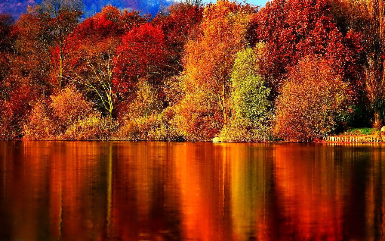 Autumn Autumn Wallpaper