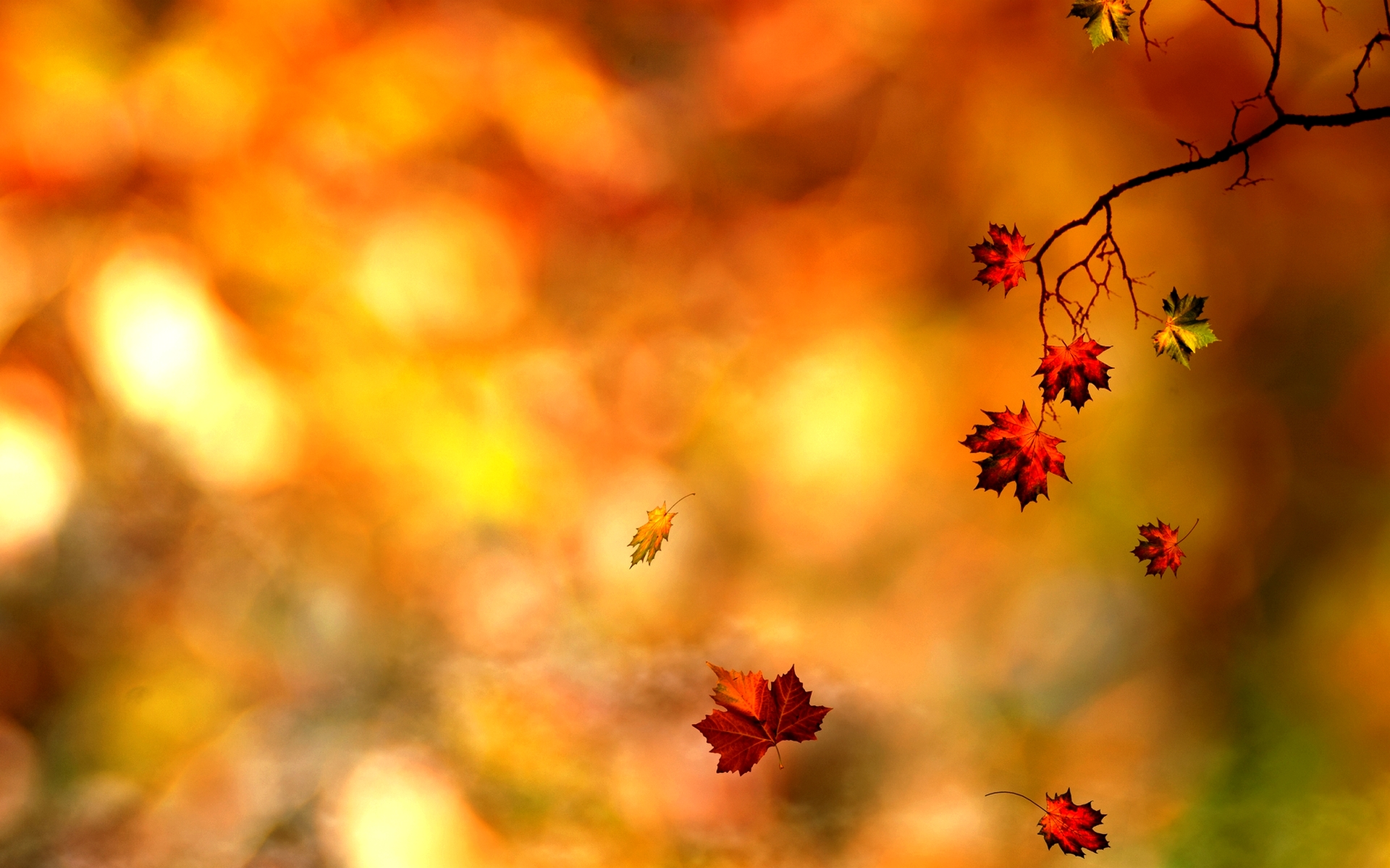 Awesome Autumn Leaf Wallpaper PC 064 Wallpaper