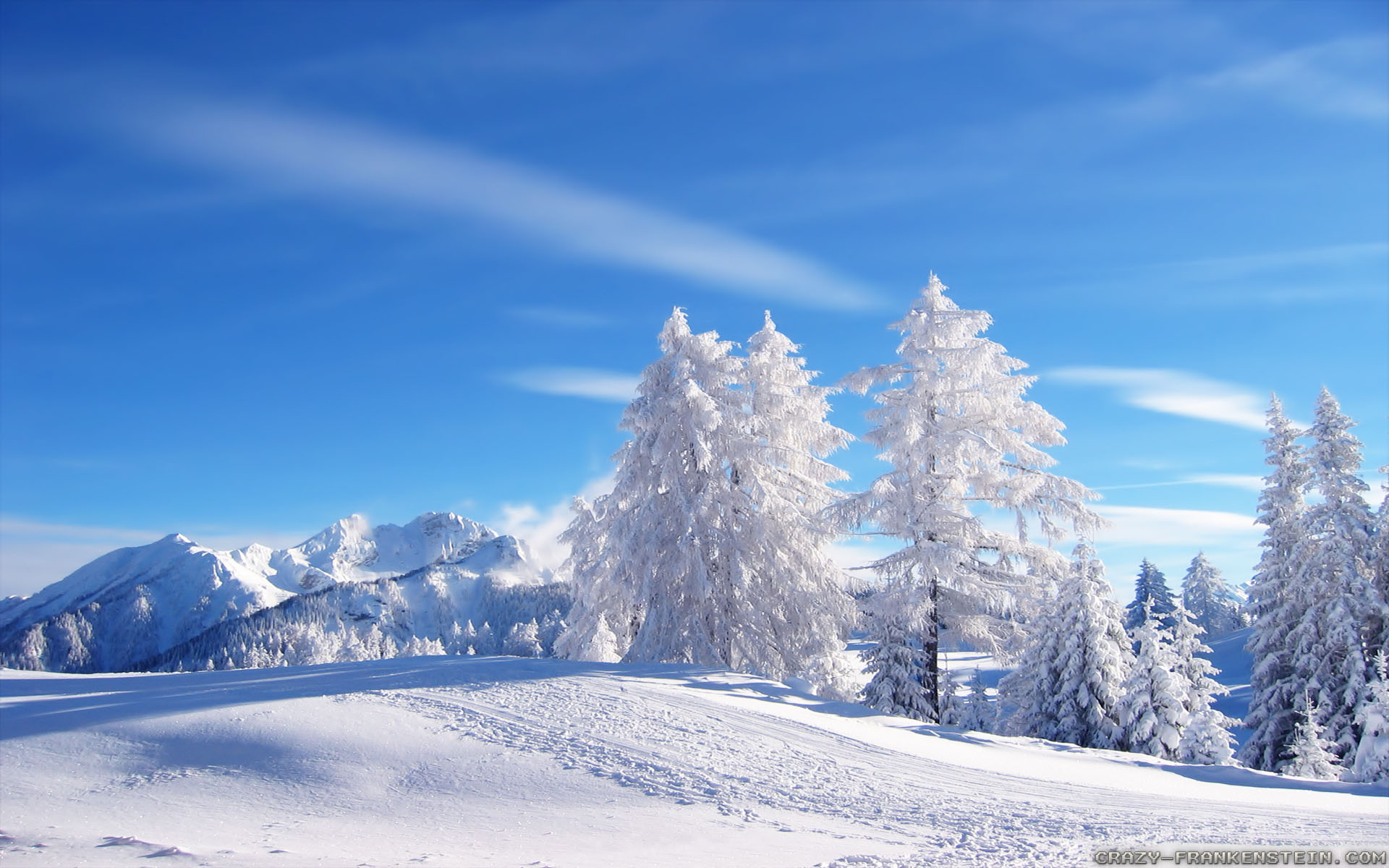Awesome Winter Wallpaper 10495