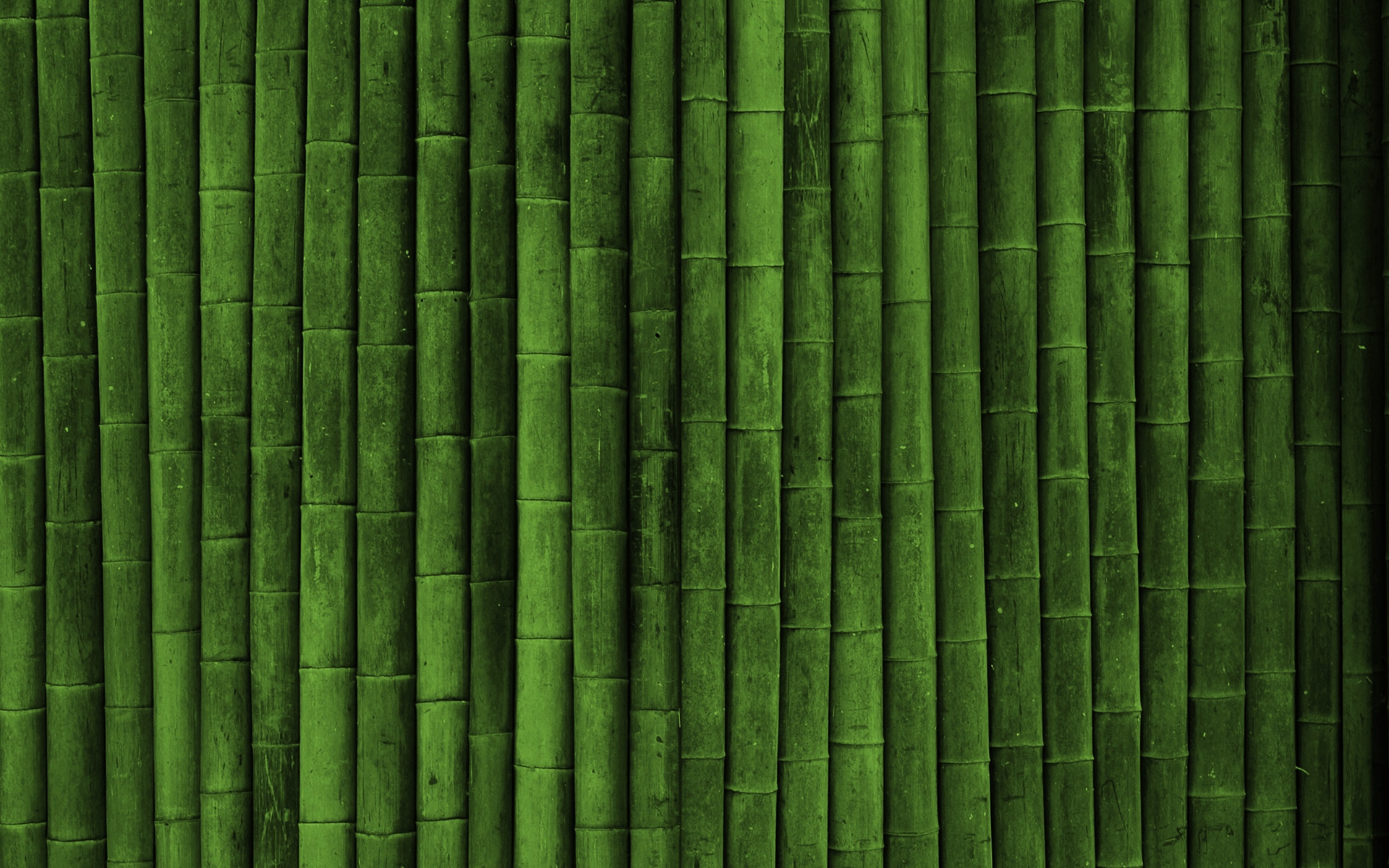 Bamboo