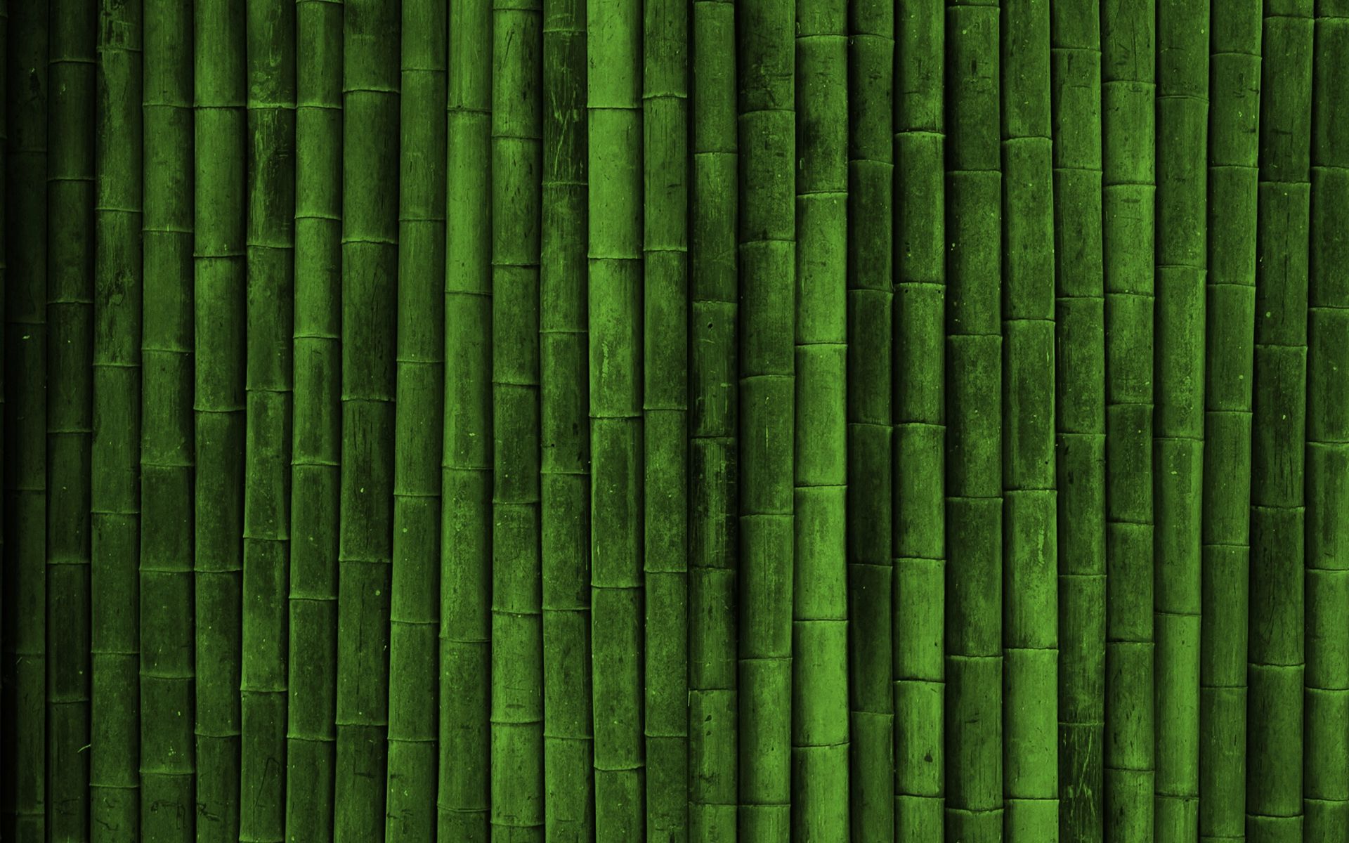 Green Bamboo Background (click to view)