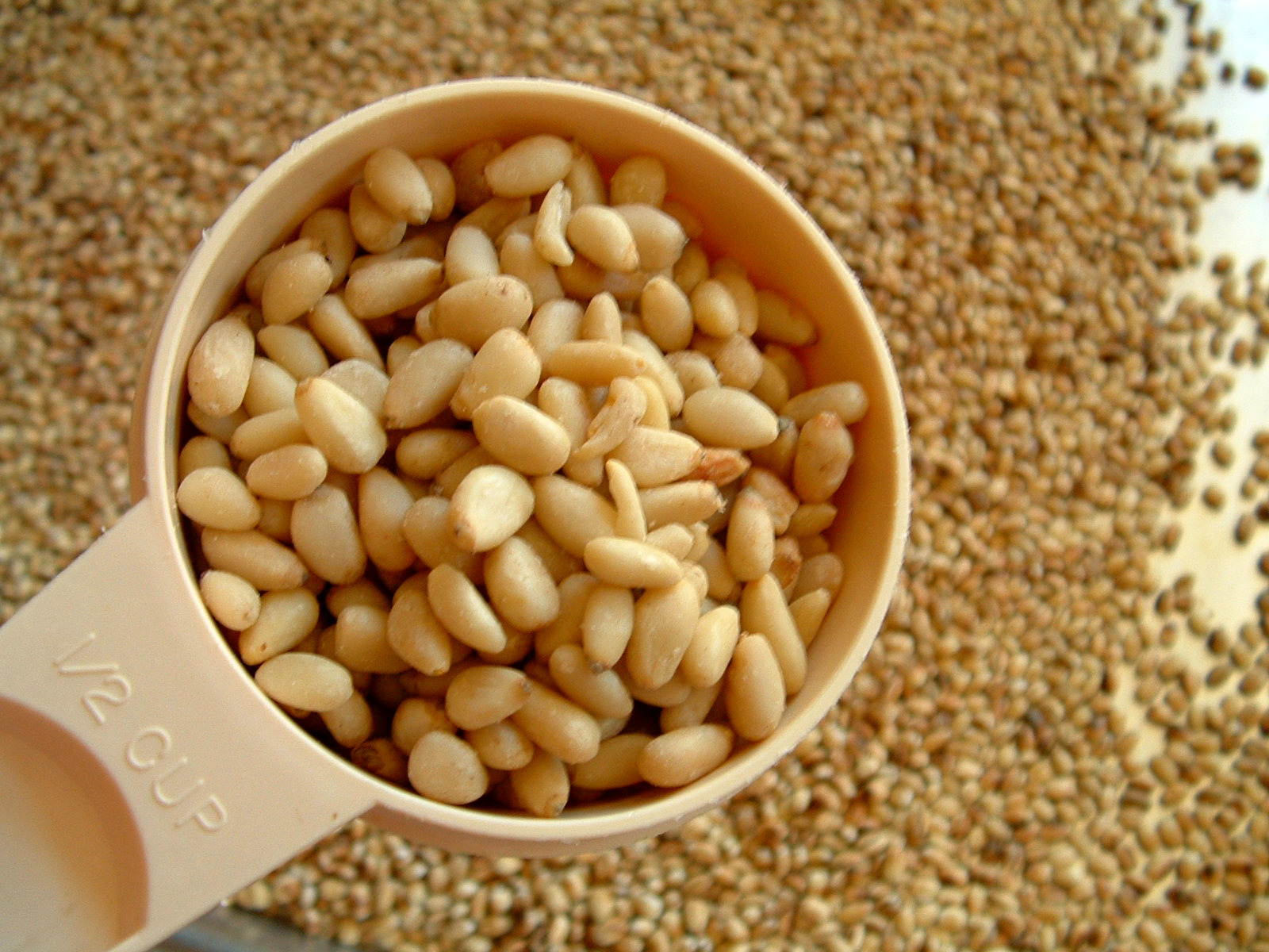 Top 10 Health Benefits of Barley
