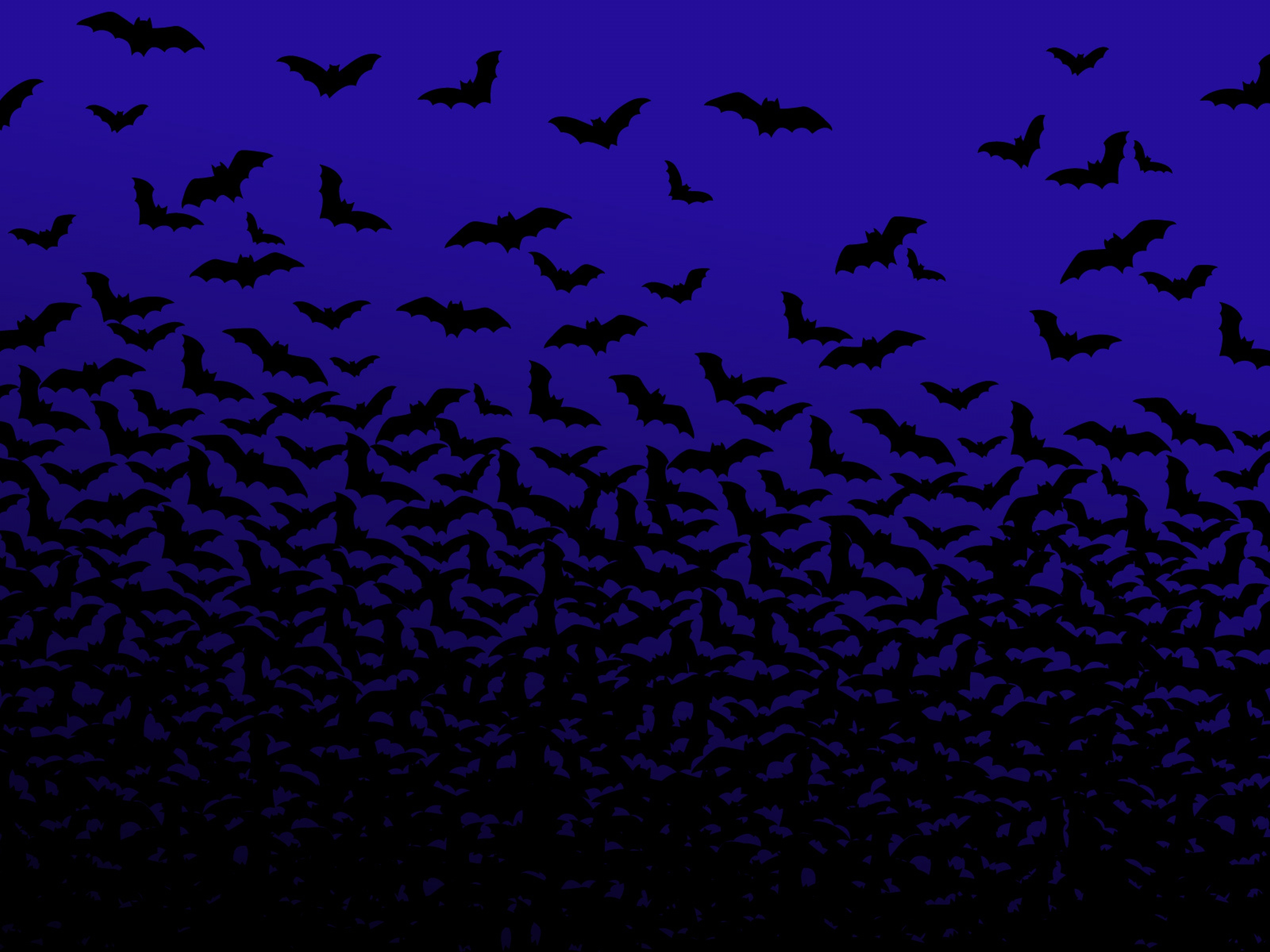 Bats mammals night sky swarm 3200x2400