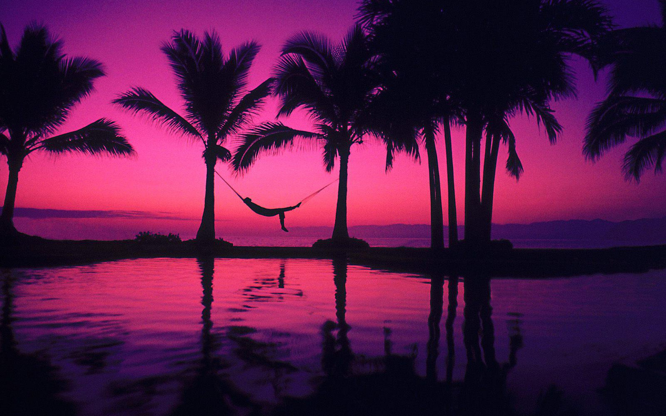 purple beach sunset wallpapers
