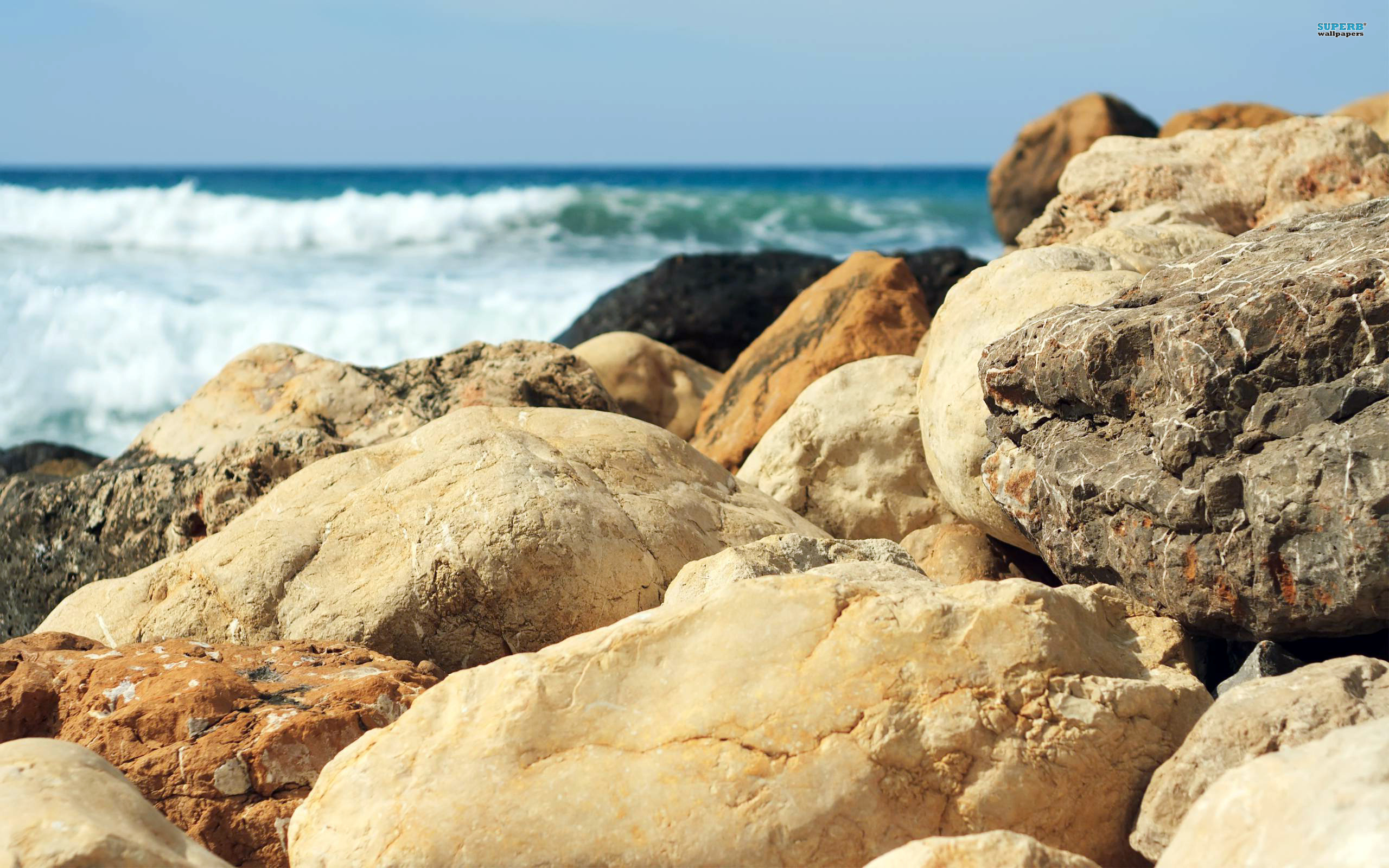 Rocks at the beach wallpaper 2560x1600