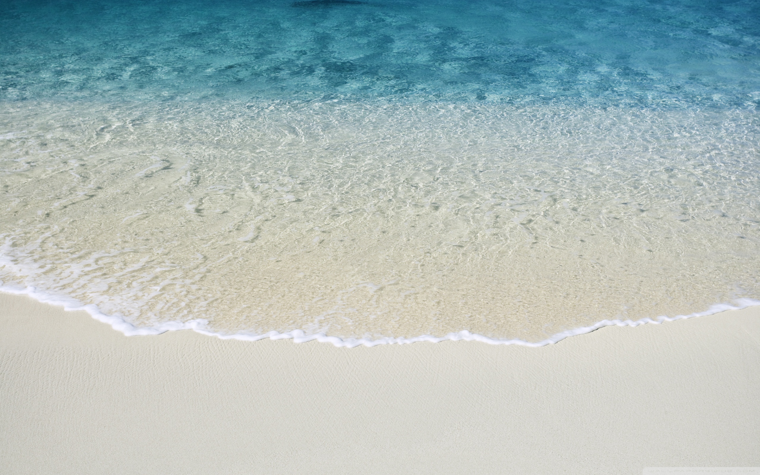 Beach Shore Wave Hd Desktop Wallpaper High Definition 2560x1600px