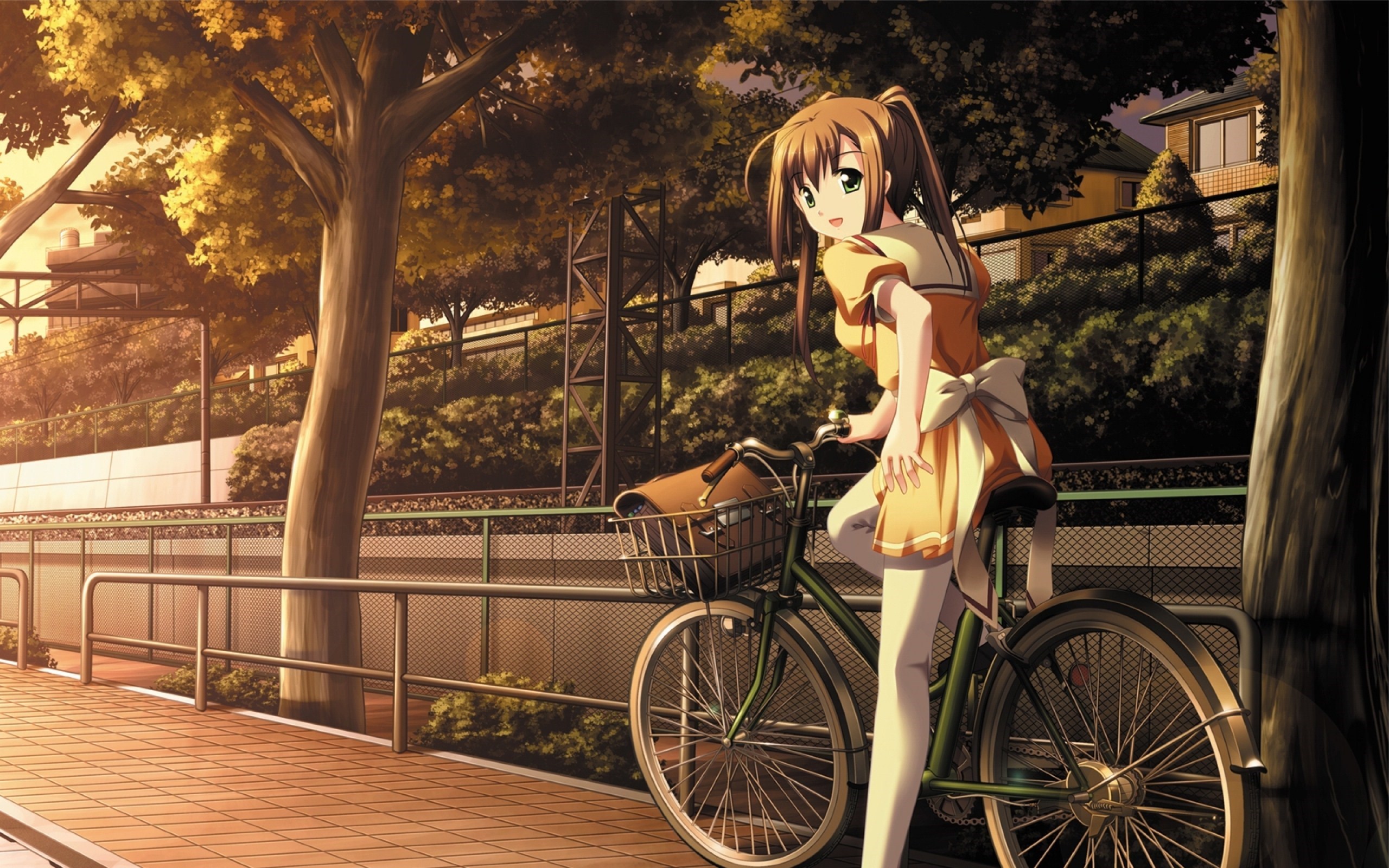 Beautiful Anime Girl School Uniform Bicycle