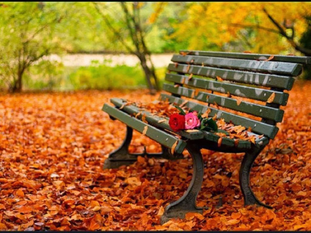 Beautiful autumn bench HQ WALLPAPER - (#161109)