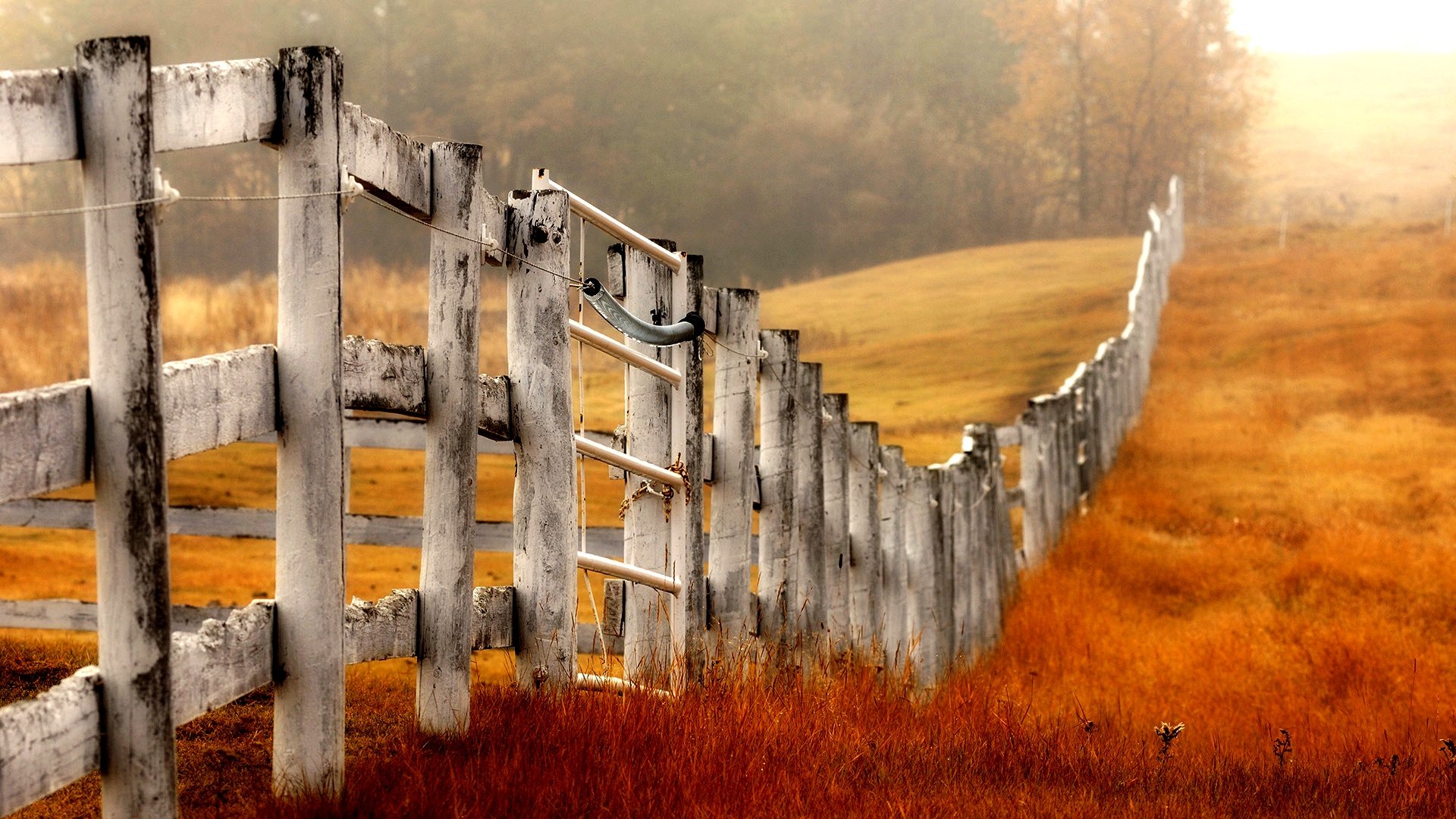 Beautiful Fence Wallpaper